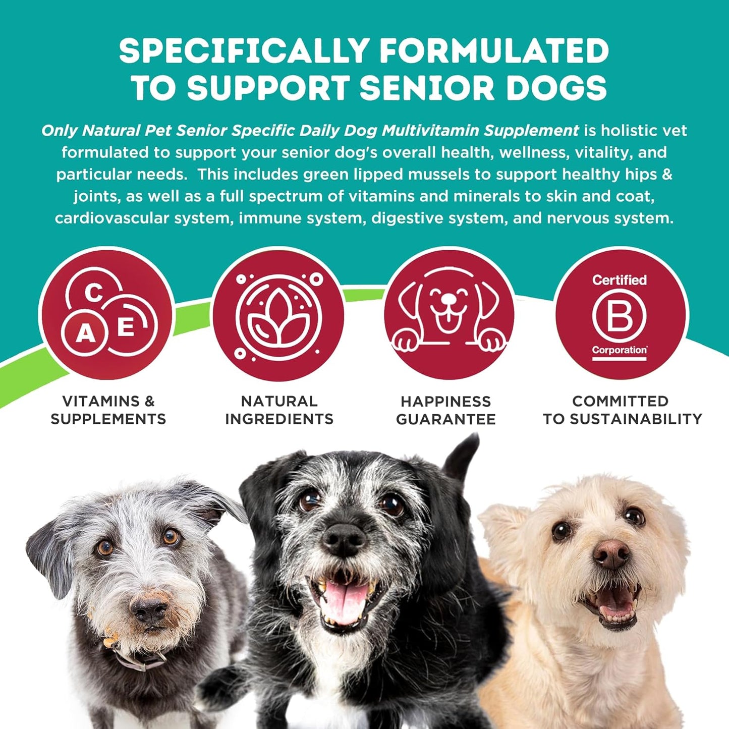 Senior Dog Vitamin Supplement for Complete Holistic Health Support - Turkey Flavored Powder, Made in USA, 5.3 oz by Only Natural Pet