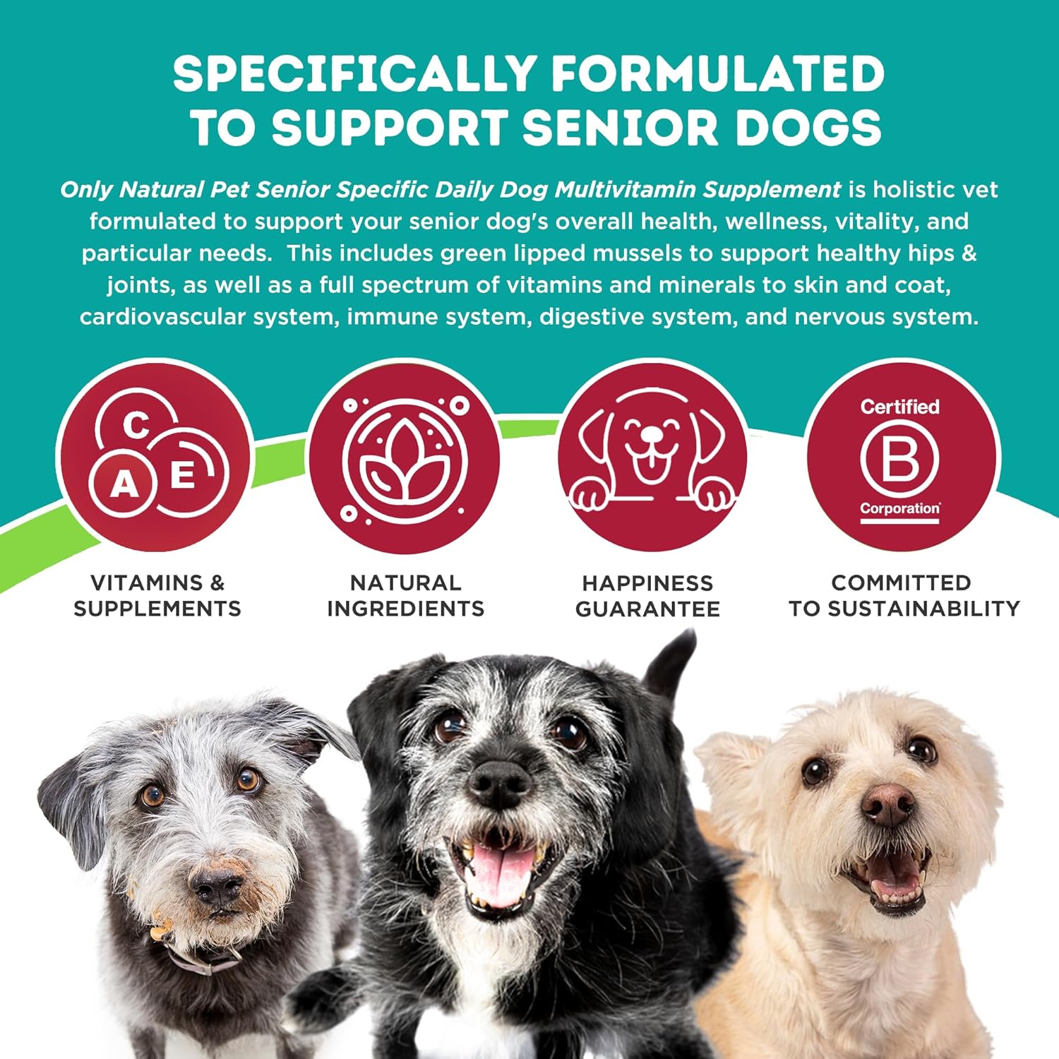 Senior Dog Vitamin Supplement for Complete Holistic Health Support - Turkey Flavored Powder, Made in USA, 5.3 oz by Only Natural Pet