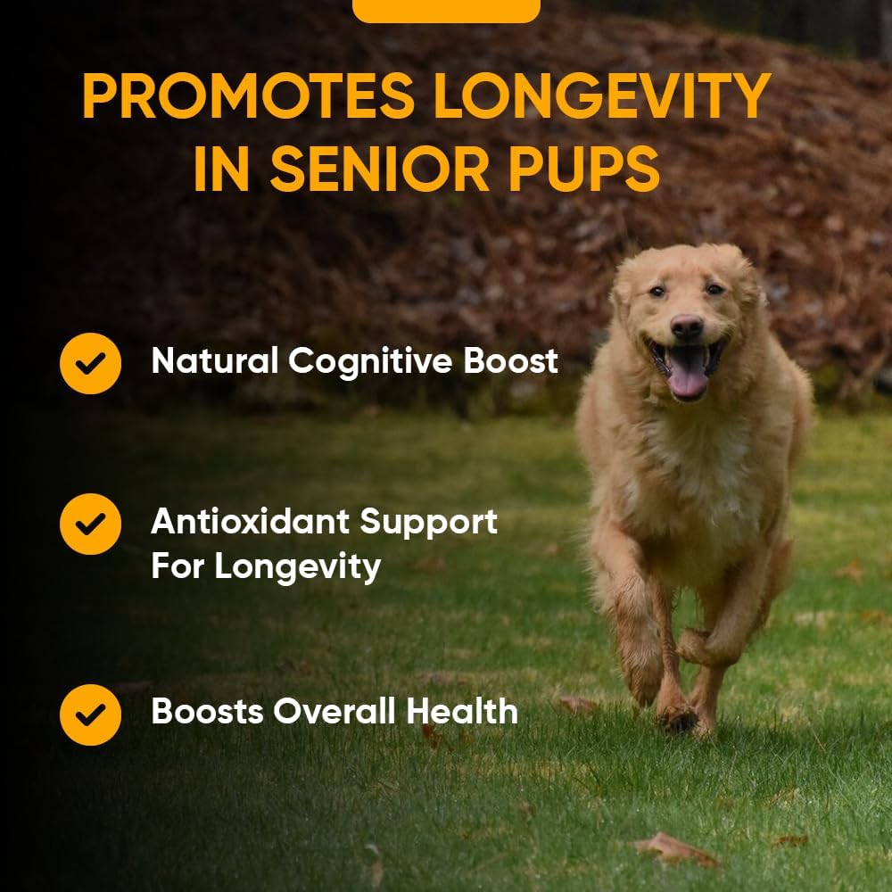 Senior Super 7 Dog Multivitamin with Anti-Aging Support