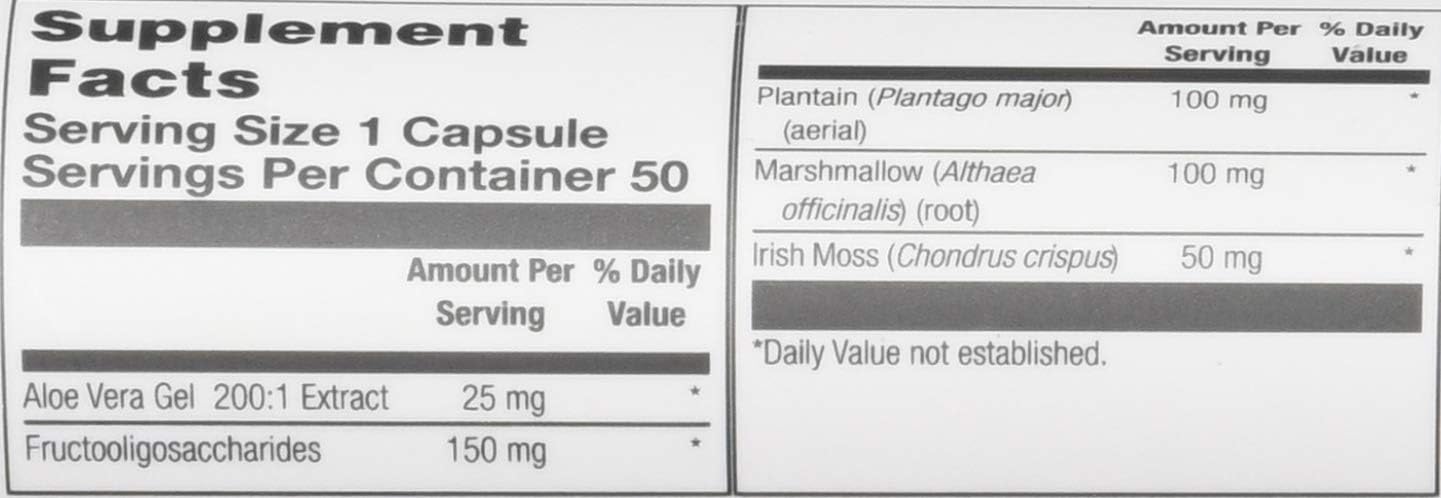 Senior Windmill MILLTRIUM with Light Weight Design - Size 60