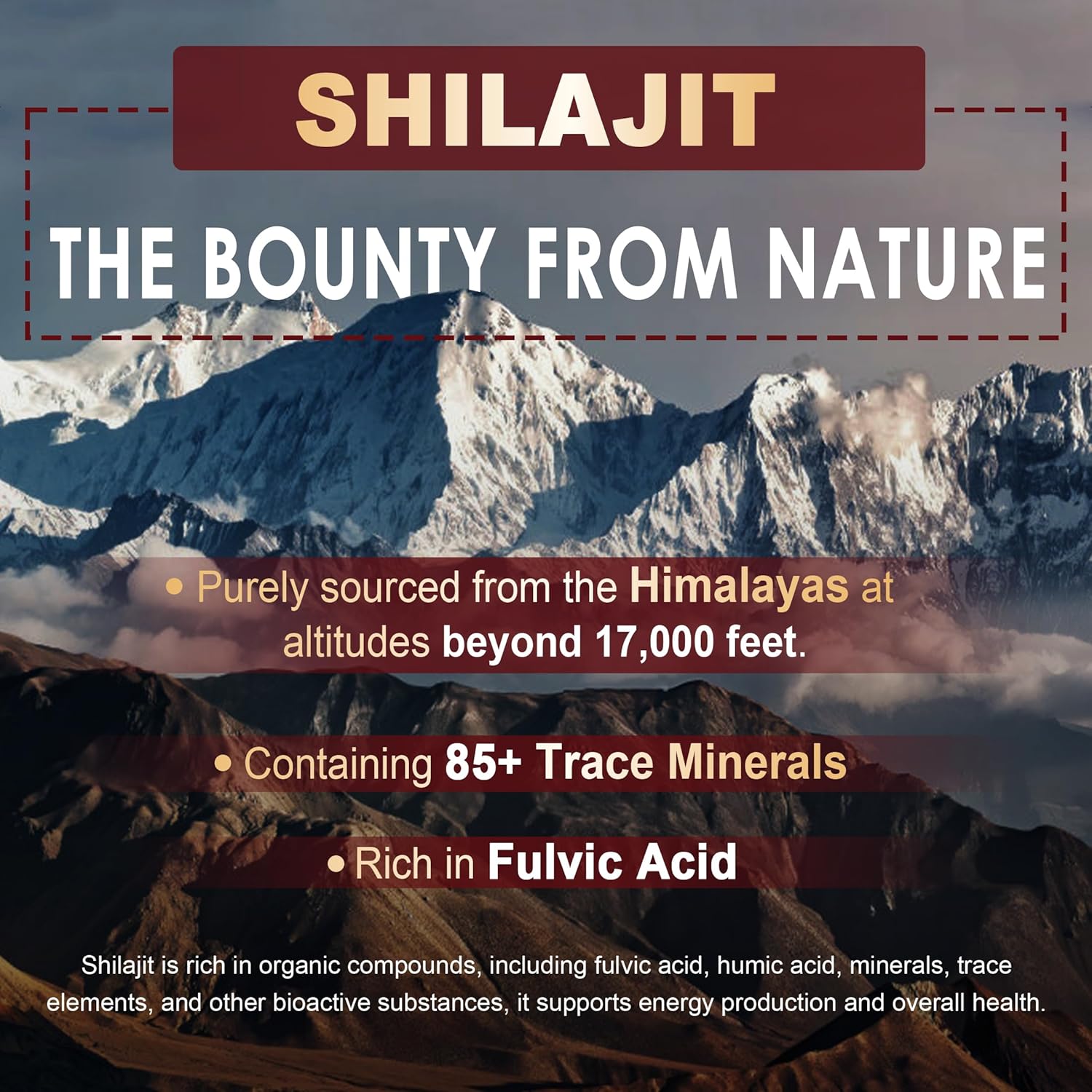 Shilajit Gummies 1000mg with Organic Ingredients for Energy, Muscle, Immune & Brain Health Support - 2-Pack