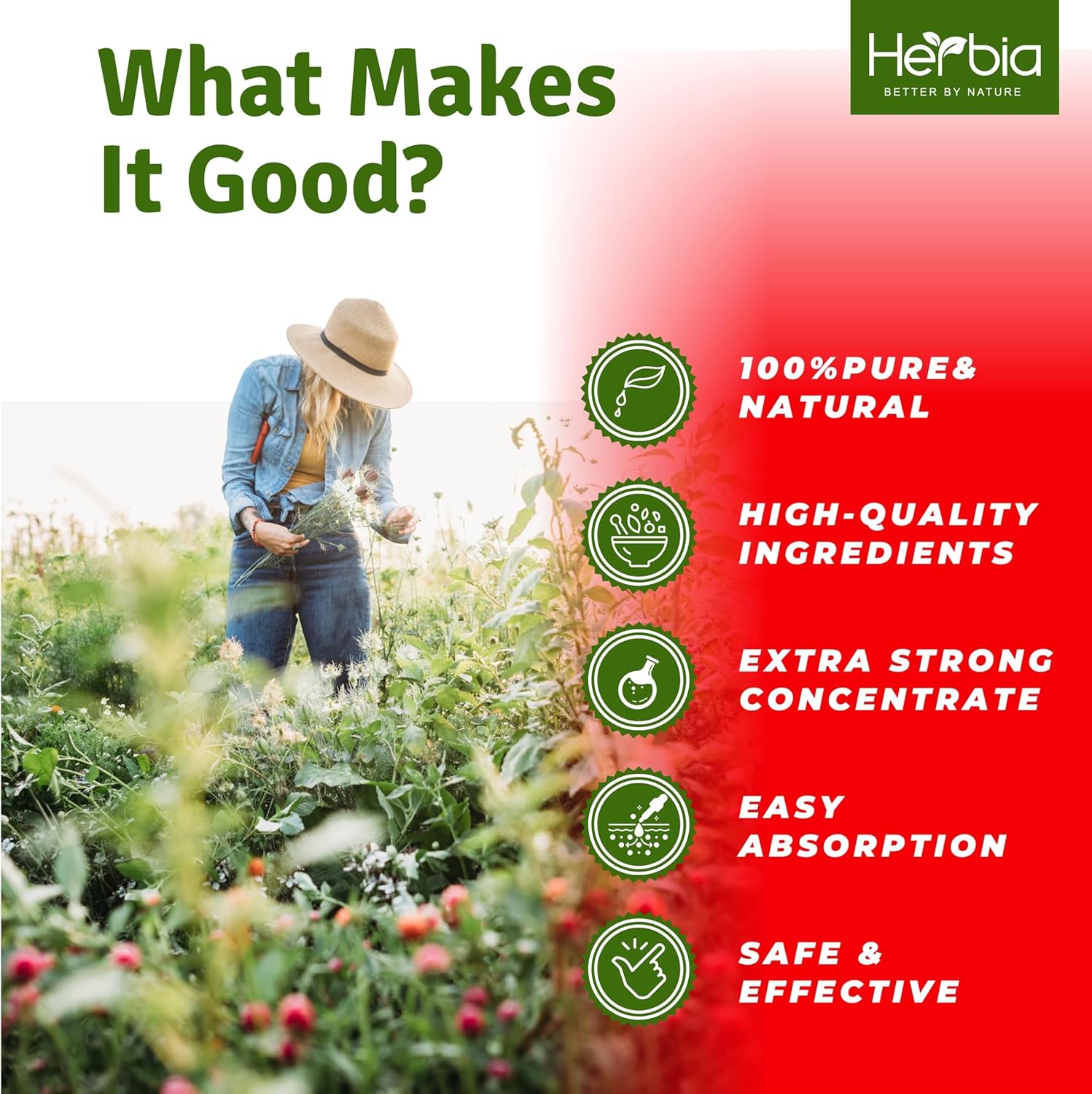 Siberian Adaptogens Herbal Blend with Maral, Spikenard, Eleuthero, Red Ginseng, Rhodiola, Schisandra, Licorice, Peony - Energy Boost & Stress Reduction - 2 oz