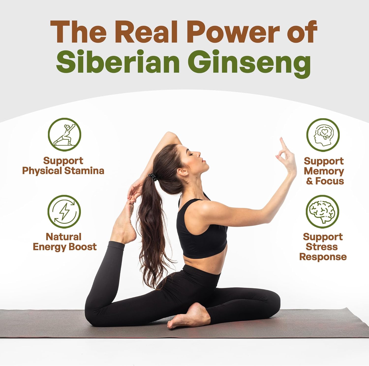 Siberian Ginseng Powder 4:1 Extract - 4x Strength, Non-GMO, 1lb (16 oz) - Eleuthero Root