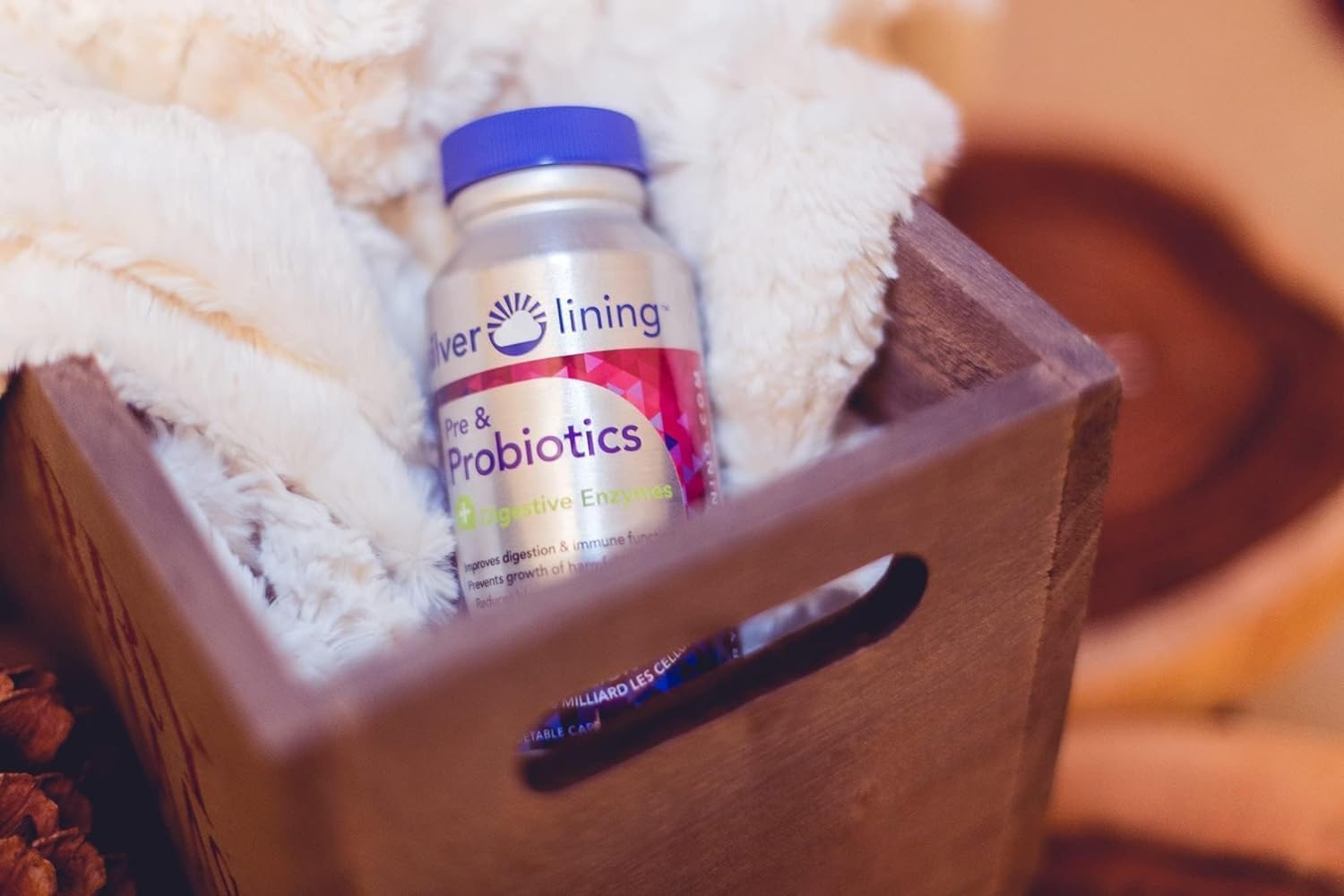 Silver Lining Pre & Probiotics with Digestive Enzymes - 50 Billion CFU - Supports Digestive & Immune Health - Reduces Bloating - 240 Count (2 Pack)