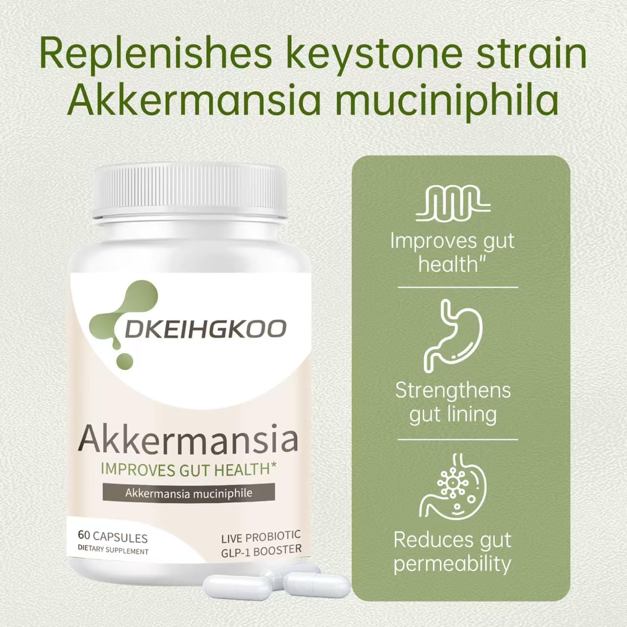 Single Pack of Newly Formulated Akkermansia Supplement
