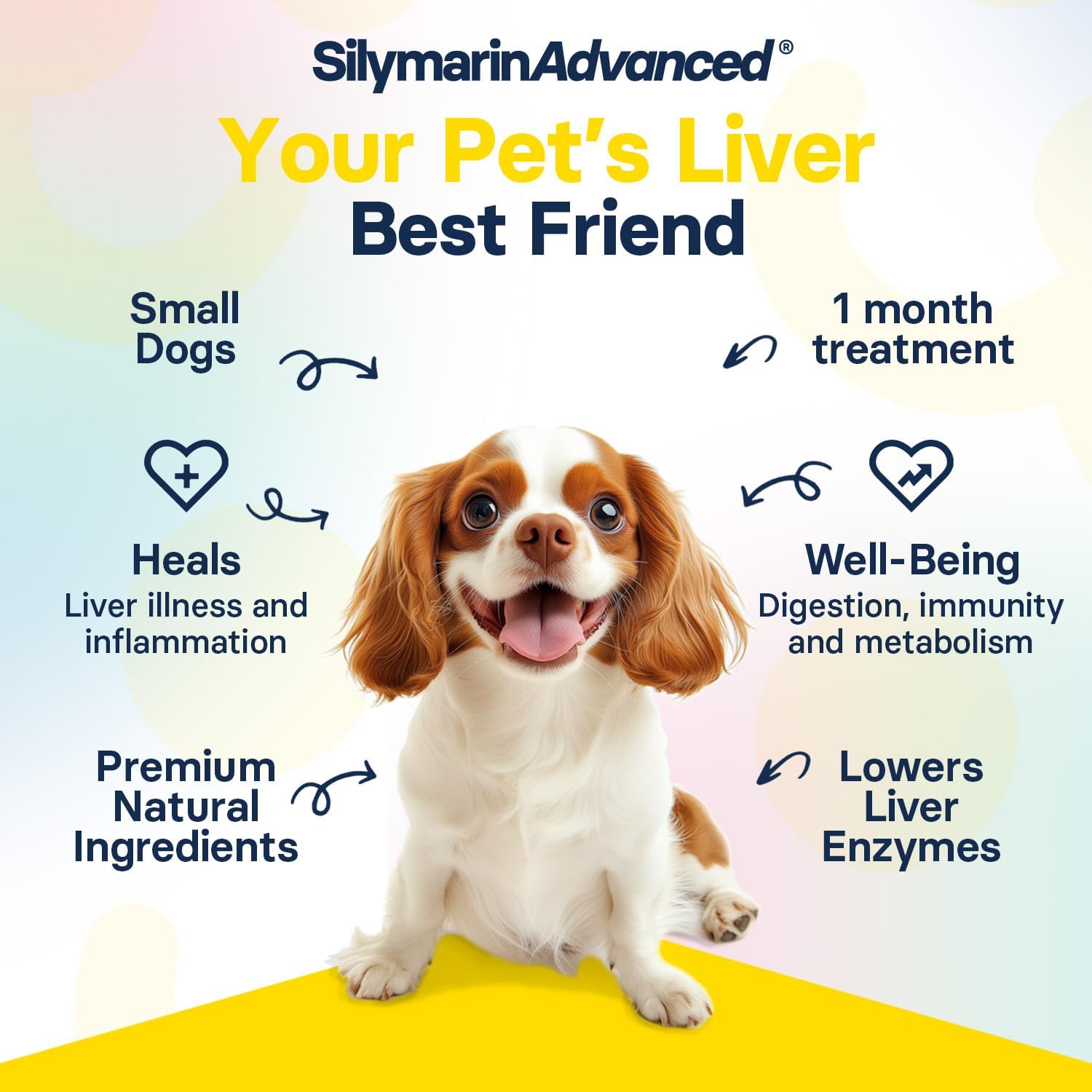 Small Dog Liver Health Supplement with Silymarin, S-Adenosylmethionine, and Silybin - 30 Tablets
