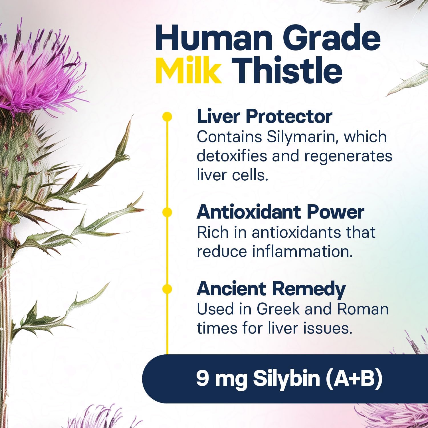 Small Dog Liver Health Supplement with Silymarin, S-Adenosylmethionine, and Silybin - 30 Tablets