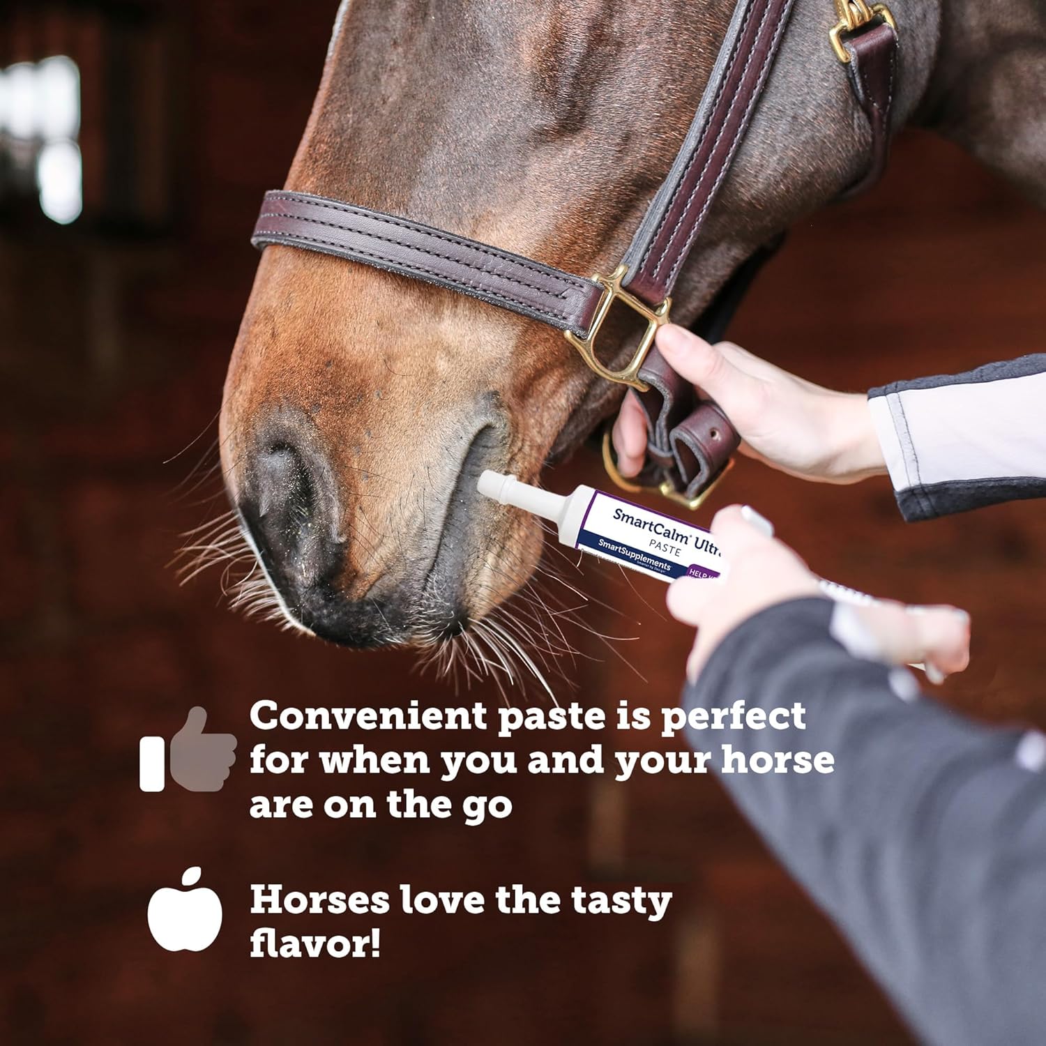 SmartPak SmartShip & Show Paste Probiotics for Horses - Travel-Ready Gut Support, Butterscotch Flavor, Pack of 6