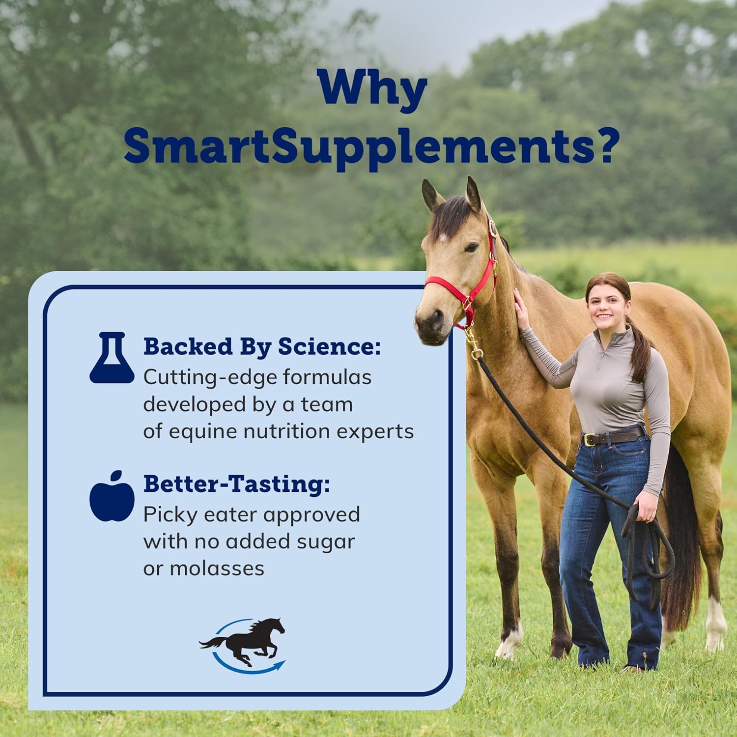 SmartPak SmartShip & Show Paste Probiotics for Horses - Travel-Ready Gut Support, Butterscotch Flavor, Pack of 6