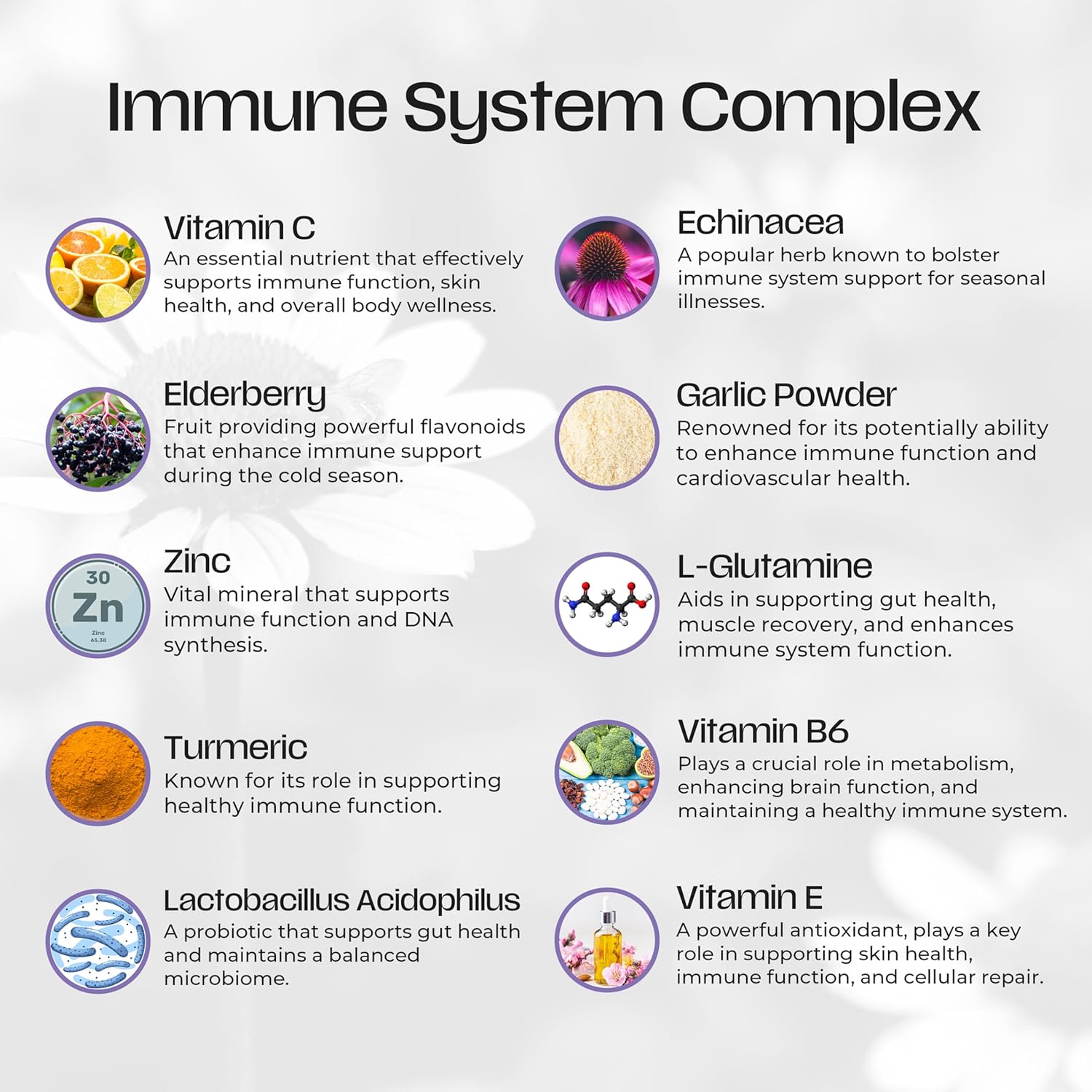 Socotra Health ResetImmune - Boost Your Immune System with Elderberry, Echinacea, Vitamin C, and Probiotics - 60 Vegan Capsules