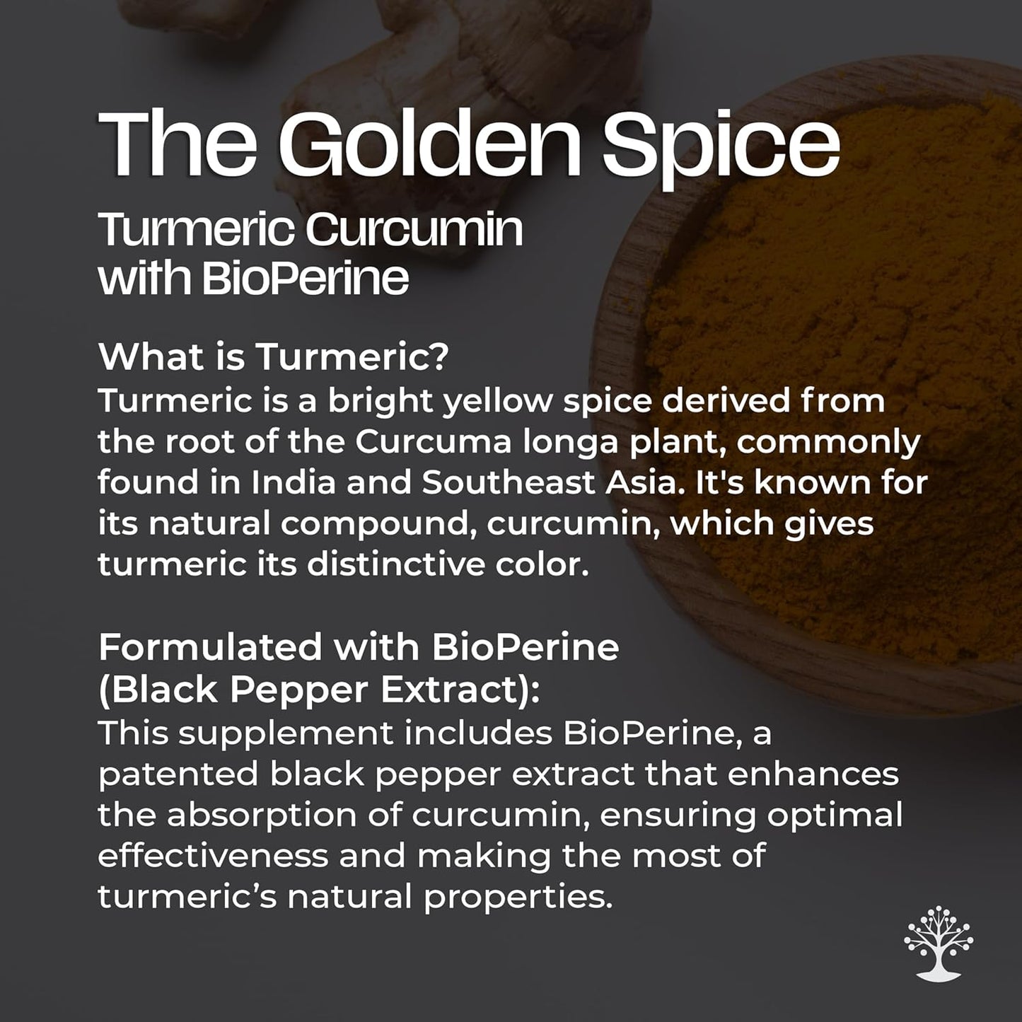 Socotra Health Turmeric Supplement - 95% Standardized Curcuminoids with Black Pepper Extract - Mobility, Joint Support, Antioxidant - 120 Vegan Capsules