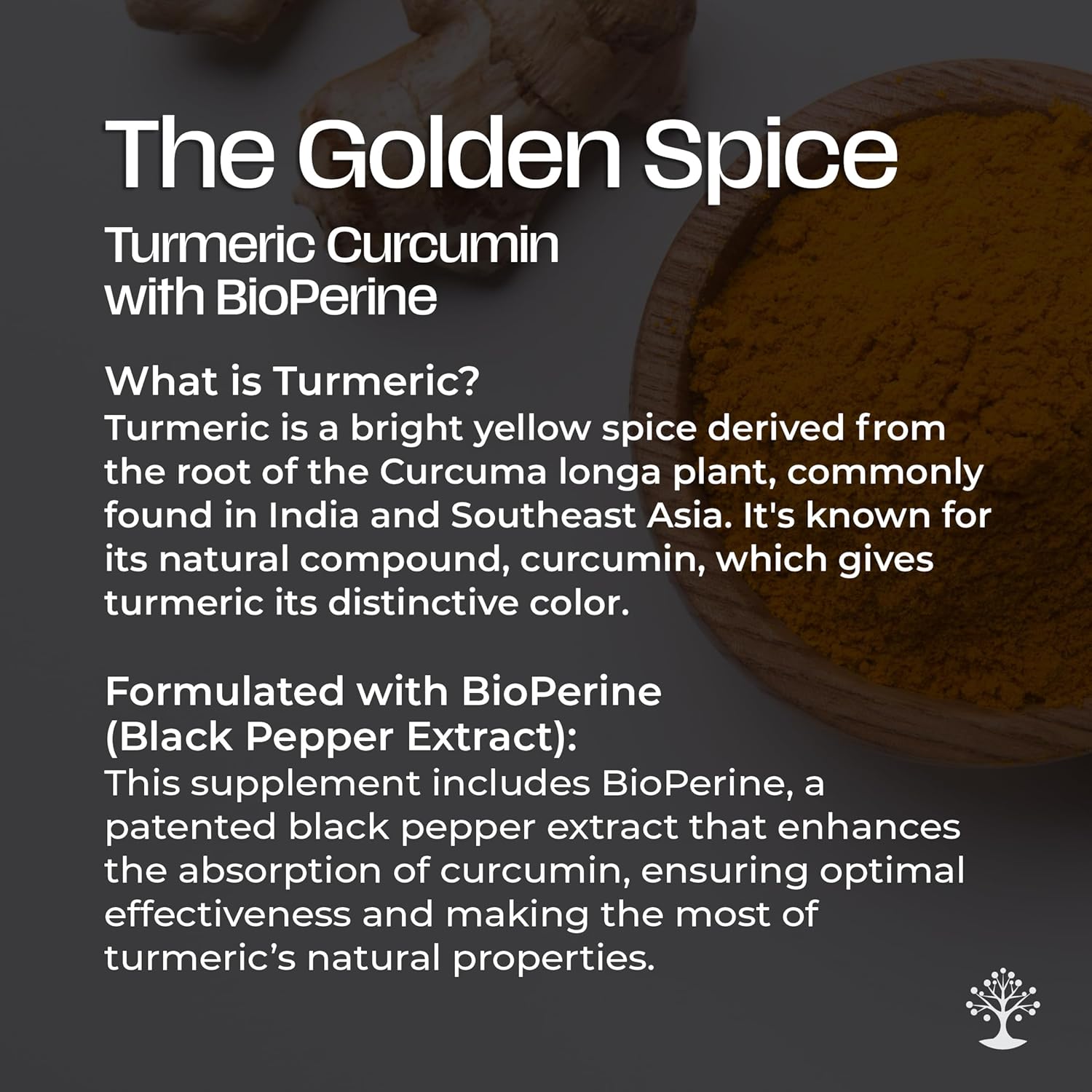 Socotra Health Turmeric Supplement - 95% Standardized Curcuminoids with Black Pepper Extract - Mobility, Joint Support, Antioxidant - 120 Vegan Capsules