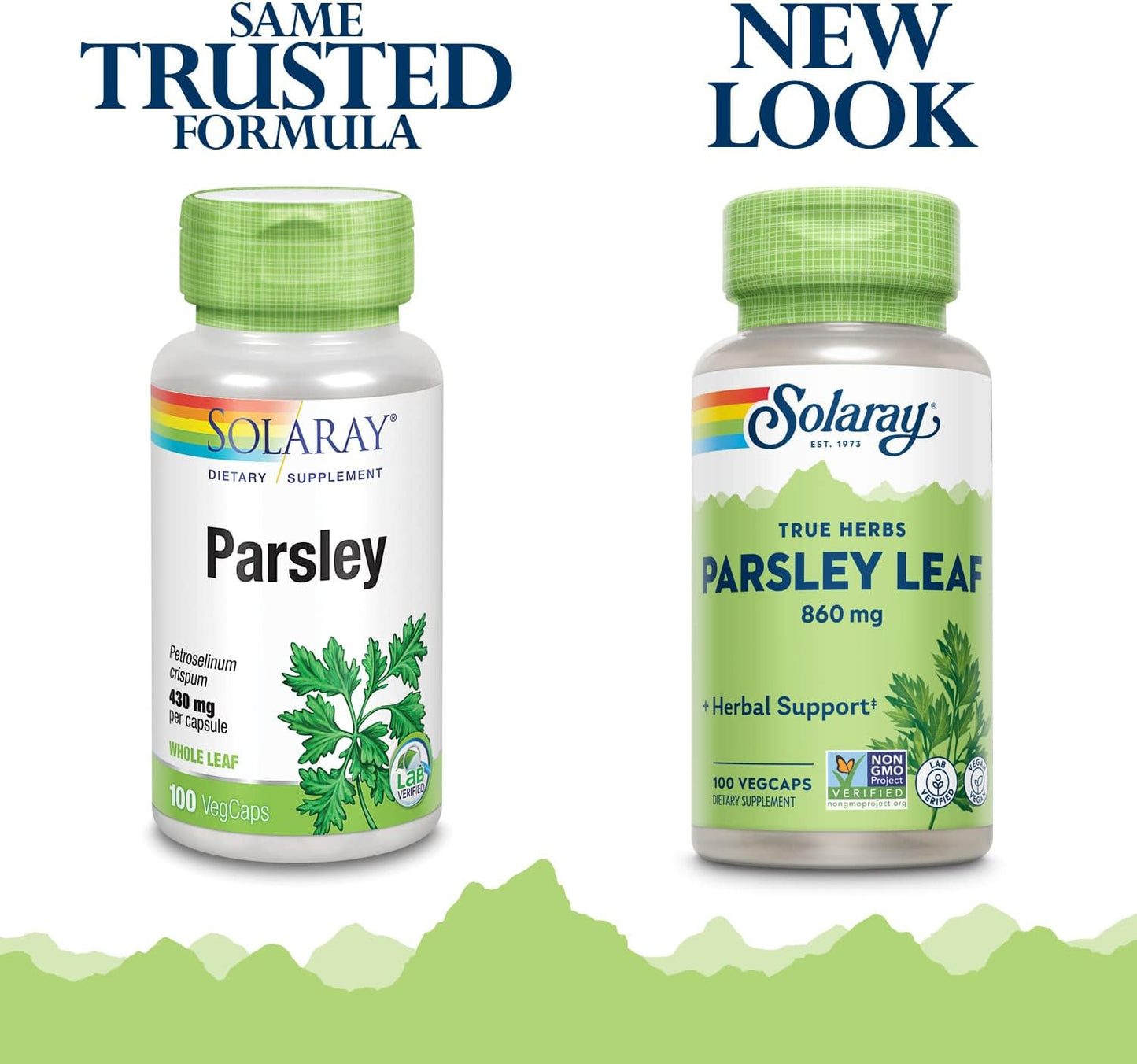 Solaray 860mg Parsley Capsules - 100 Count Bottle for Digestive Health and Antioxidant Support