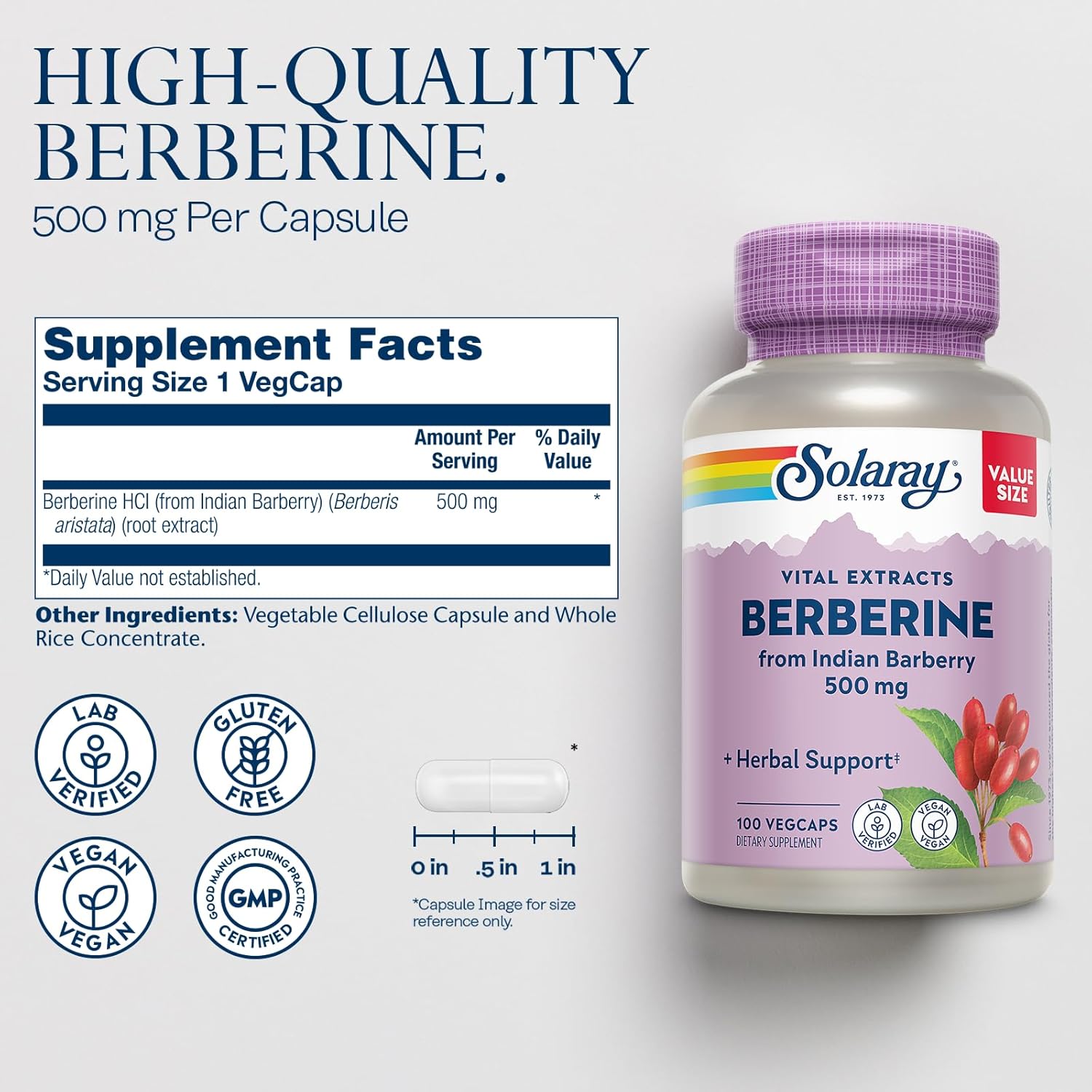 Solaray Berberine HCl and Oil of Oregano Supplement Bundle - Wellness Support with Indian Barberry and Oregano Oil - 100 VegCaps/120 Softgels