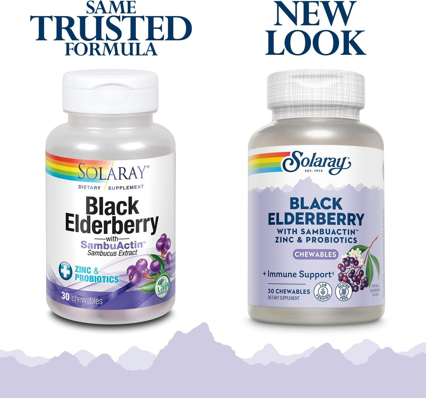 Solaray Black Elderberry Extract with Zinc, Probiotics, and Vitamin C for Immune System Health - 30 Chewable Tablets