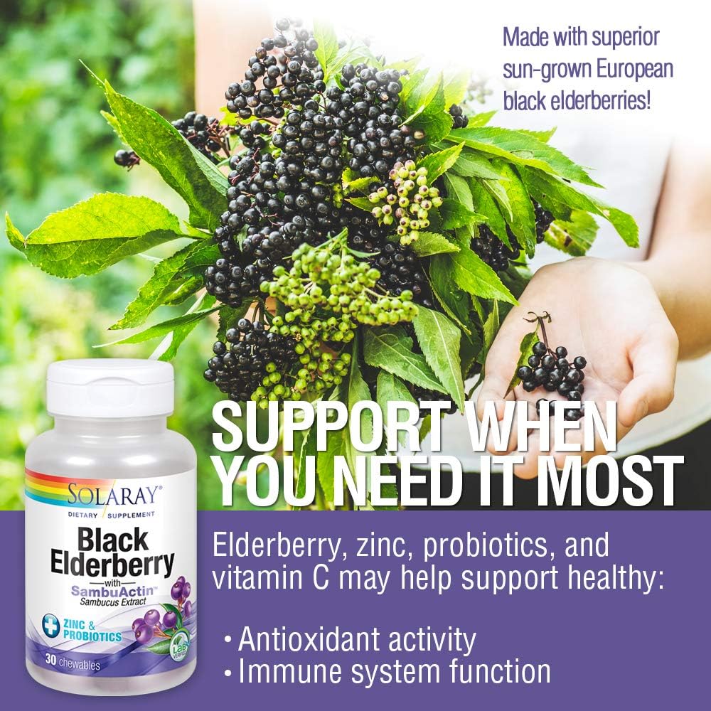 Solaray Black Elderberry Extract with Zinc, Probiotics, and Vitamin C for Immune System Health - 30 Chewable Tablets