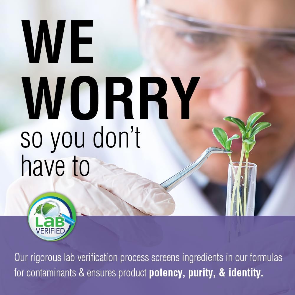 Solaray Black Elderberry Extract with Zinc, Probiotics, and Vitamin C for Immune System Health - 30 Chewable Tablets