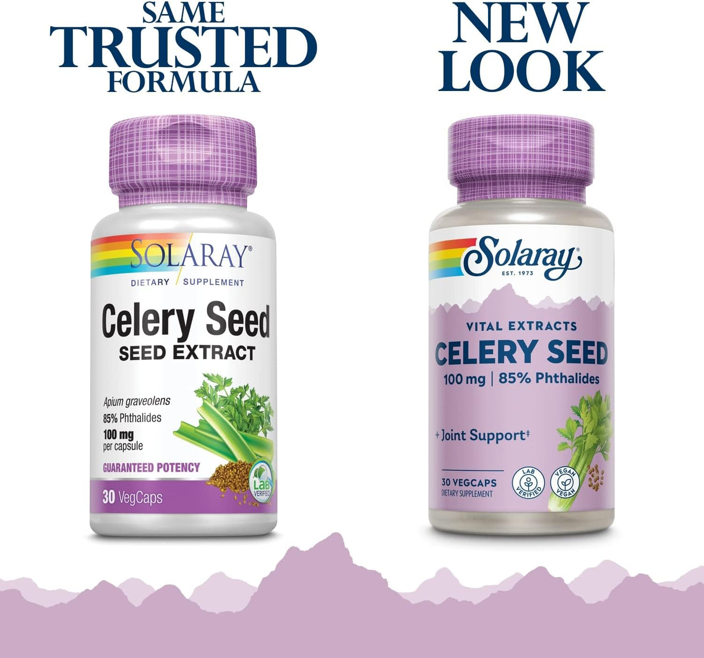 Solaray Celery Seed Extract 100mg Capsules | 85% Phthalides | Joint Health Support | Non-GMO, Vegan | 30 VegCaps
