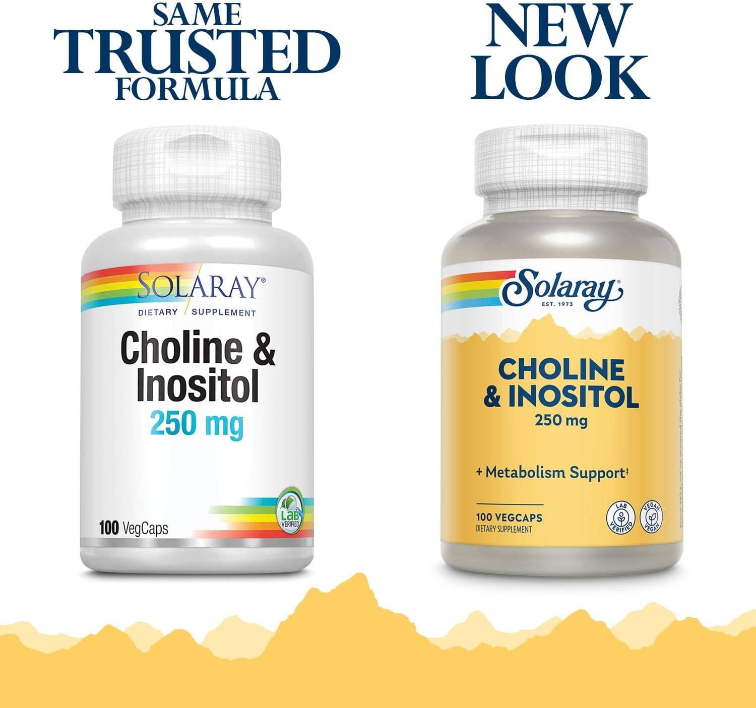 SOLARAY Choline & Inositol 250 mg VegCaps - Boost Fat Metabolism & Brain Function - Pack of 200 Capsules