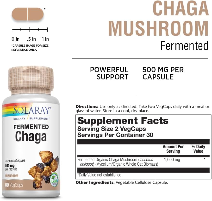Solaray Fermented Chaga Mushroom Capsules - 500mg, 30 Servings - Immune Function Support