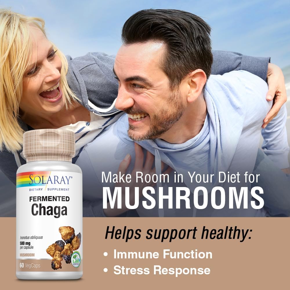 Solaray Fermented Chaga Mushroom Capsules - 500mg, 30 Servings - Immune Function Support