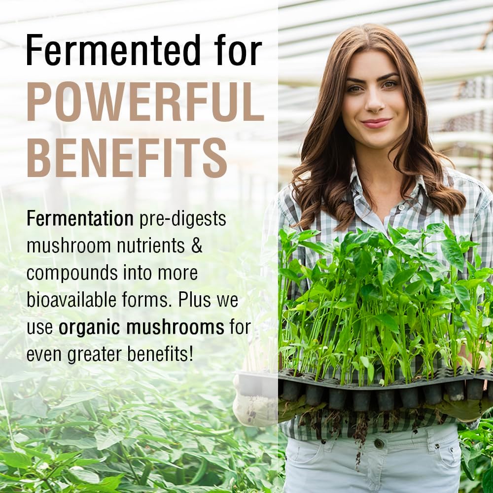 Solaray Fermented Chaga Mushroom Capsules - 500mg, 30 Servings - Immune Function Support