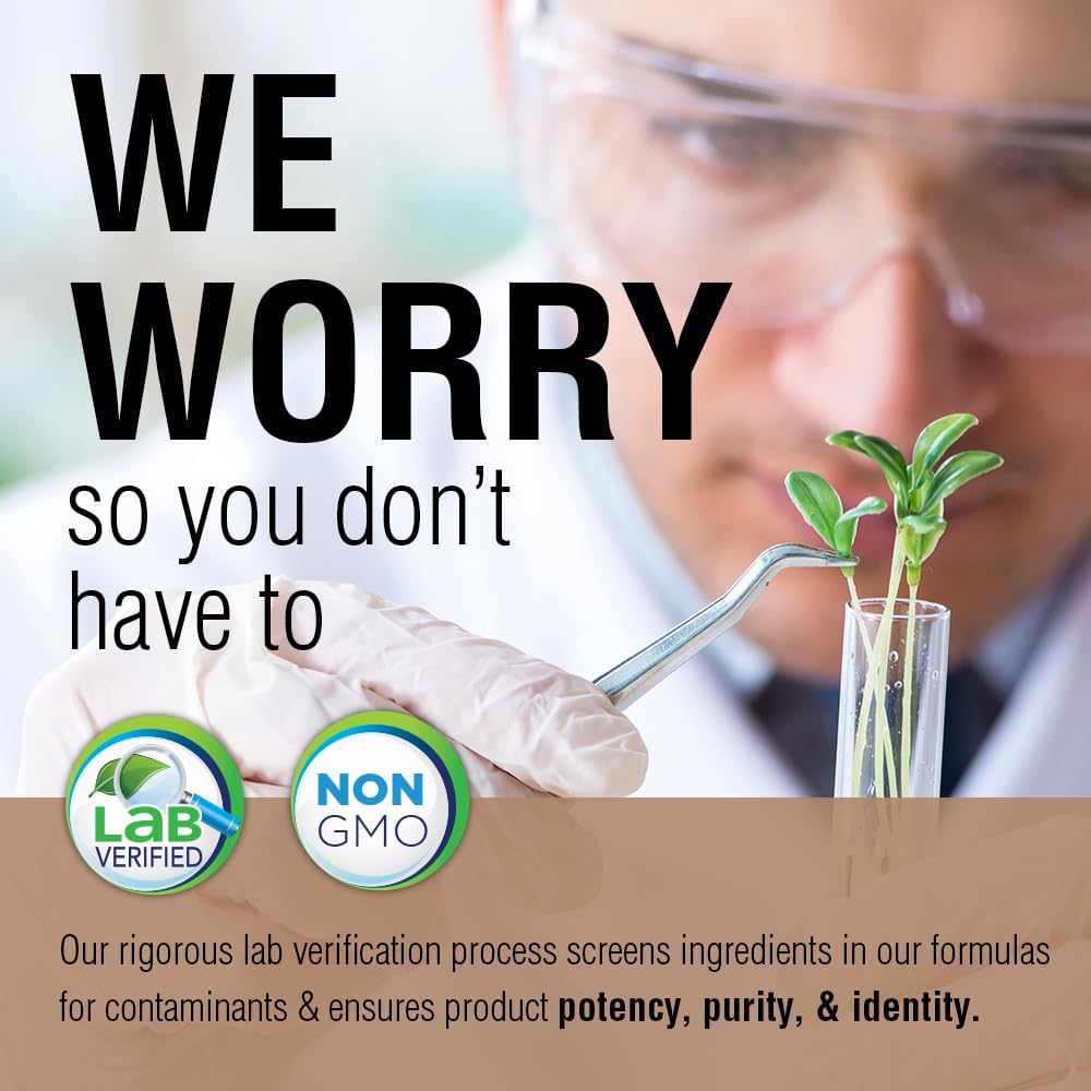 Solaray Fermented Chaga Mushroom Capsules - 500mg, 30 Servings - Immune Function Support