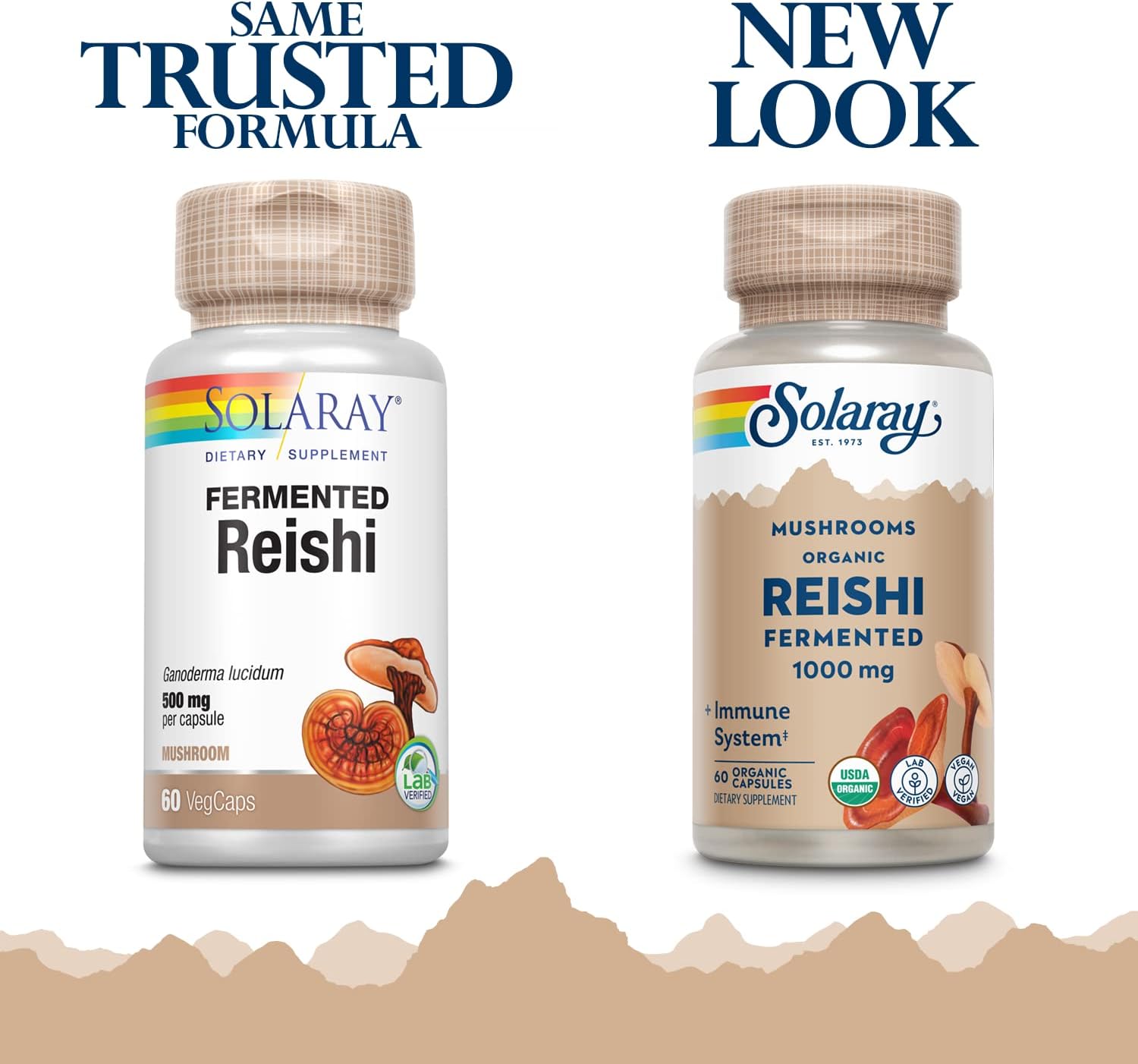 Solaray Fermented Reishi Mushroom Capsules - 500mg for Immune, Heart, & Brain Health - Energy & Mood Boost - 60 VegCaps