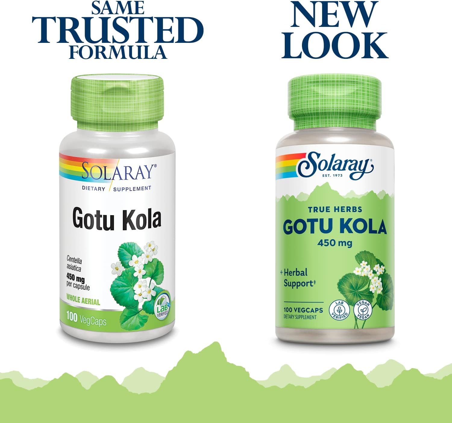 Solaray Gotu Kola Capsules 450mg | Promotes Healthy Mood & Circulation | Non-GMO Vegan Supplement | 100 VegCaps
