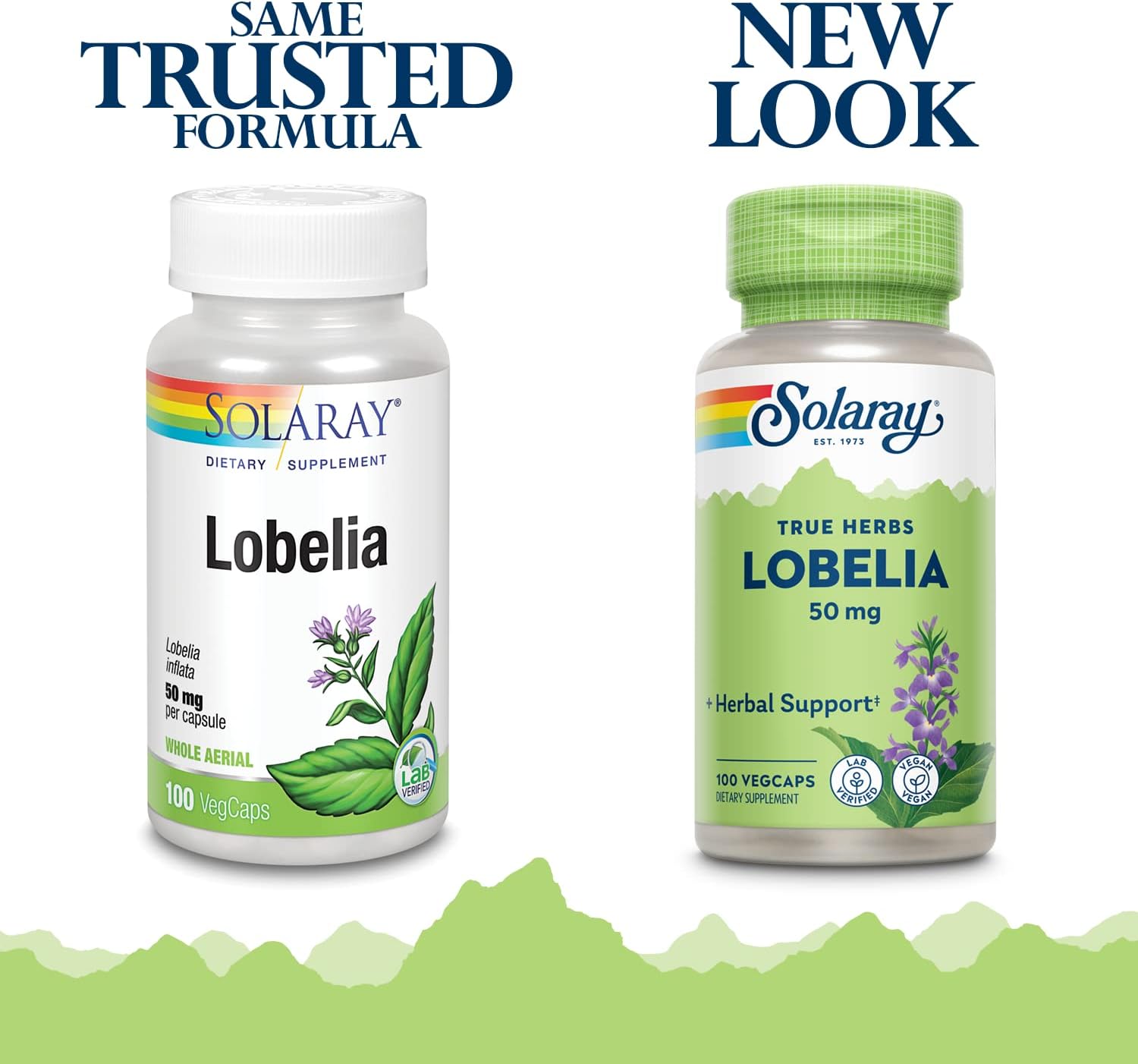 Solaray Lobelia Aerial 50mg VegCaps - Respiratory & Bronchial Function Support with Ginger Root - Non-GMO & Vegan Formula