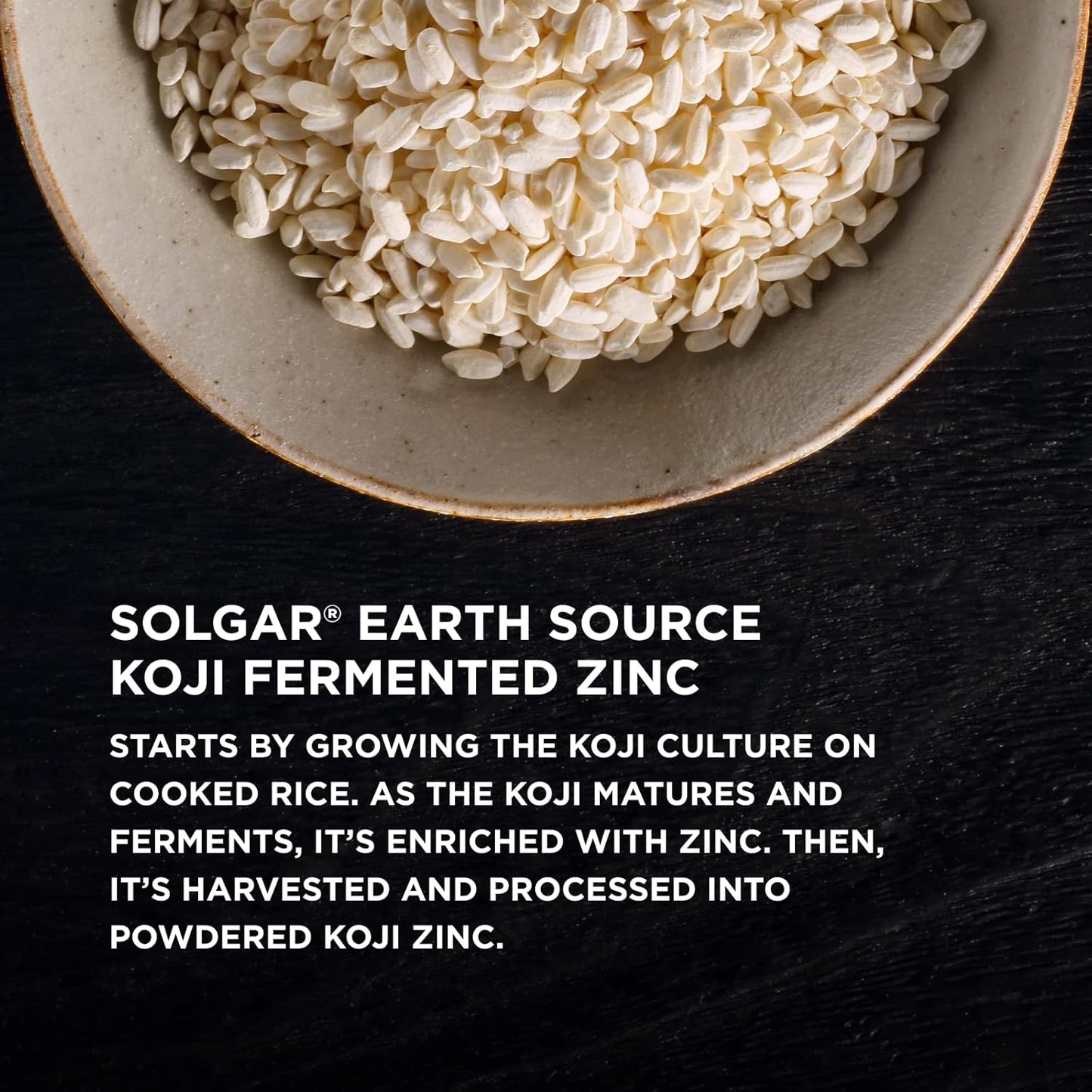 Solgar Earth Source Food Fermented Koji Zinc Capsules - Immune & Skin Health Support - Non-GMO, Vegan, Gluten-Free, Kosher - 60 Servings - BoostGo Australia