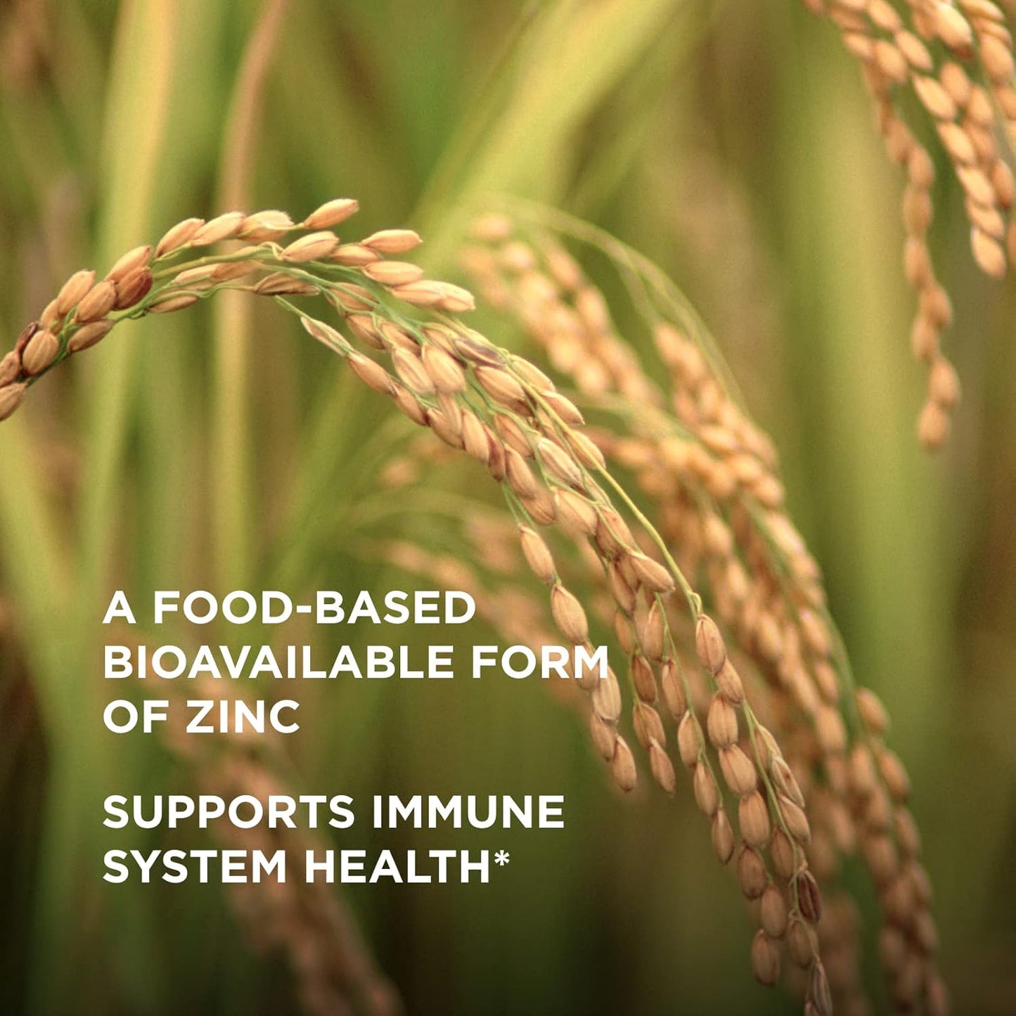 Solgar Earth Source Food Fermented Koji Zinc Capsules - Immune & Skin Health Support - Non-GMO, Vegan, Gluten-Free, Kosher - 60 Servings - BoostGo Australia