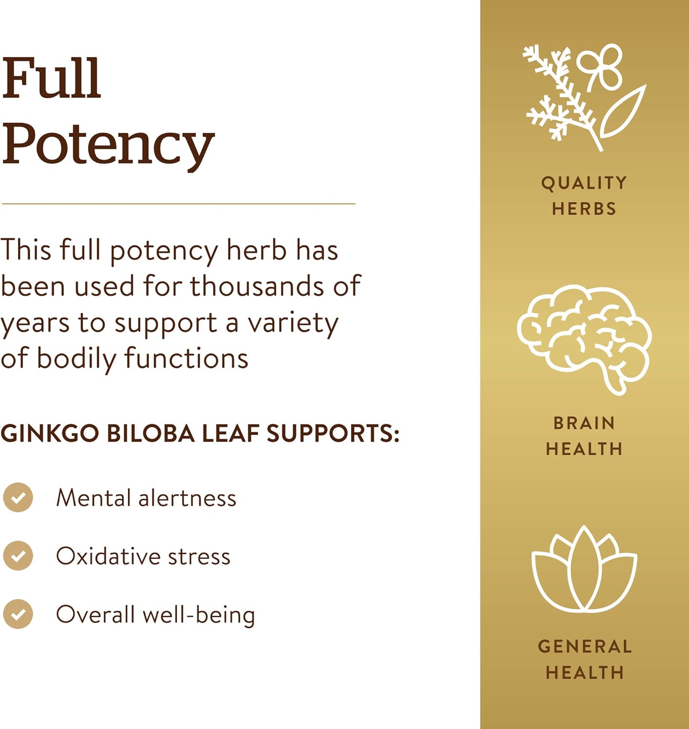 Solgar Ginkgo Biloba 180 Capsules for Brain Health & Alertness - Non-GMO, Vegan, Gluten Free - 180 Servings