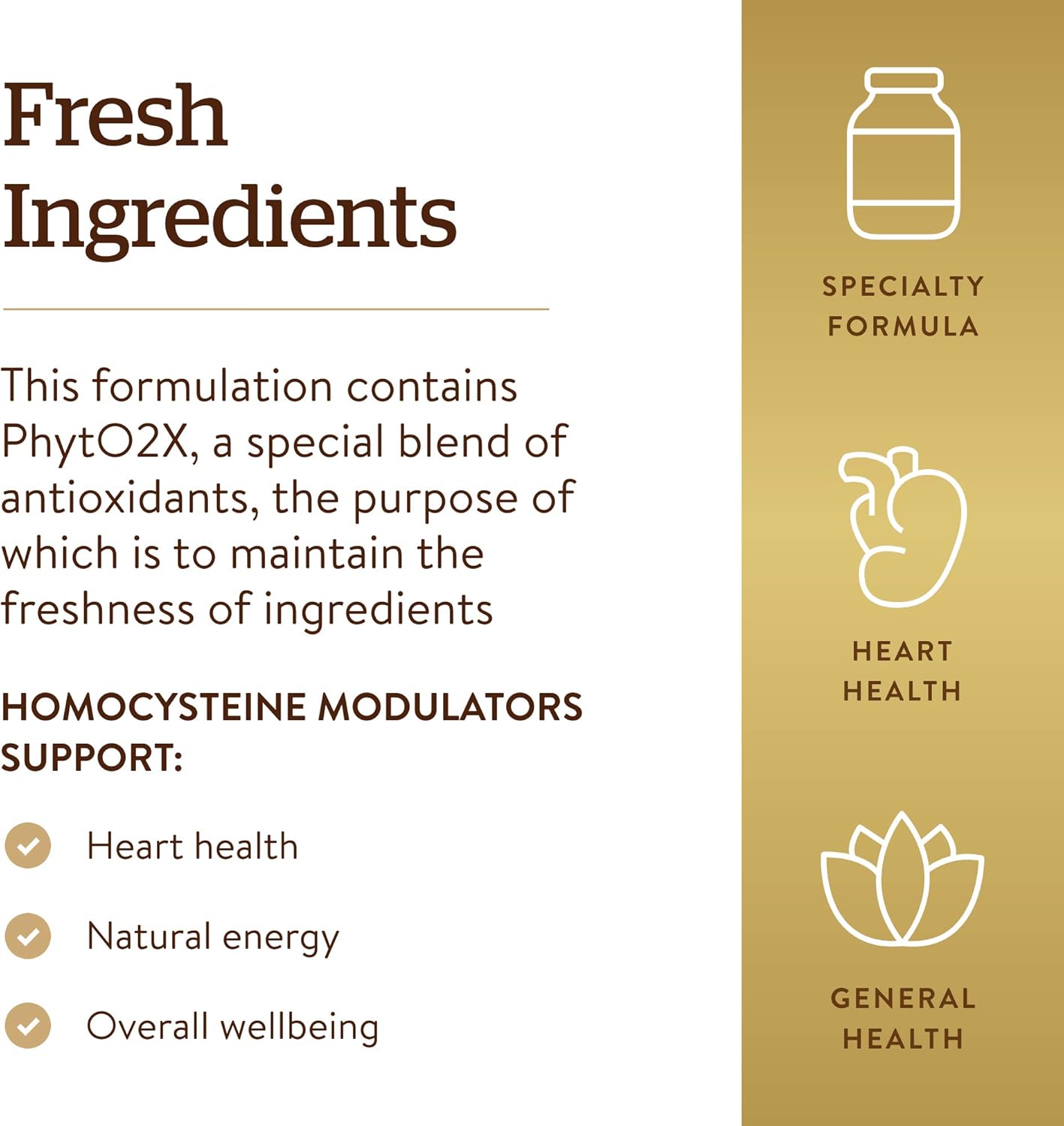 Solgar Homocysteine Modulators 120 Capsules - Vegetarian Formula for Heart Health