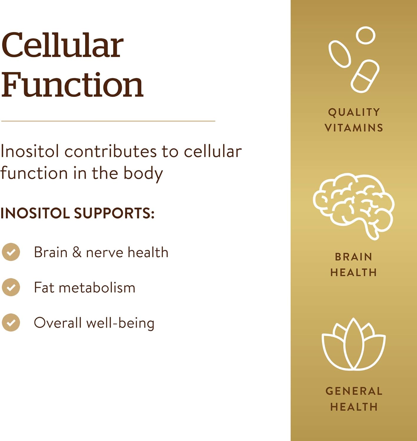 Solgar Inositol Vegetable Capsules - 500 mg, 100 Count - Natural Mood Support Supplement