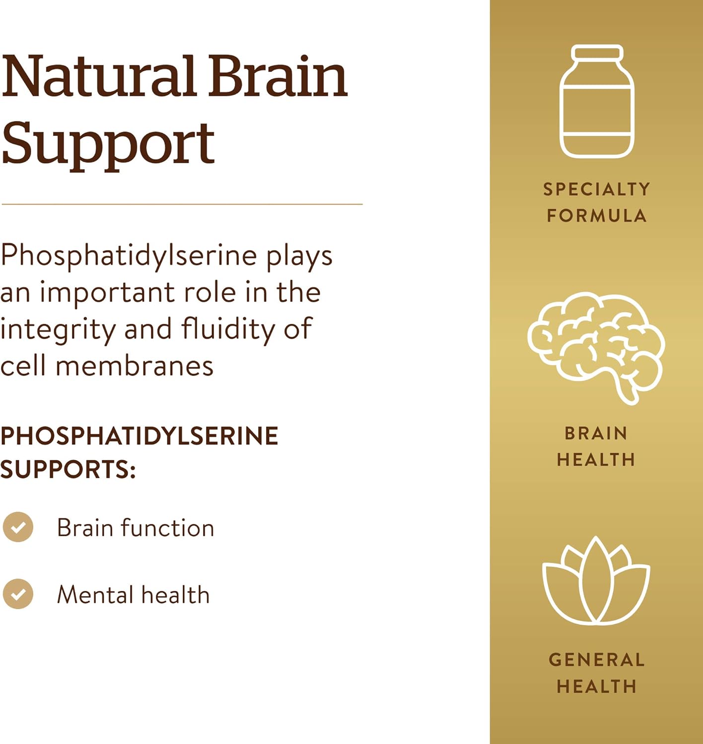 Solgar Phosphatidyl-Serine Softgels - 200mg Brain Health Supplement - Supports Cognitive Function - Gluten & Dairy Free - 60 Servings