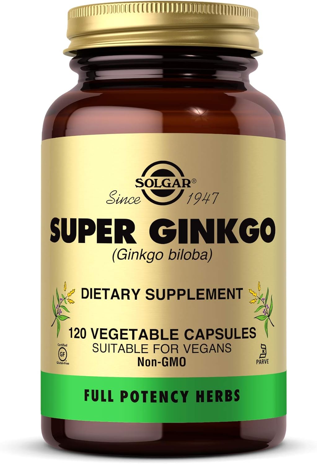 Solgar Super Ginkgo Capsules - Full Potency Antioxidant for Nervous System & Brain Health - Non-GMO, Vegan, Gluten Free, Dairy Free - 120 Servings