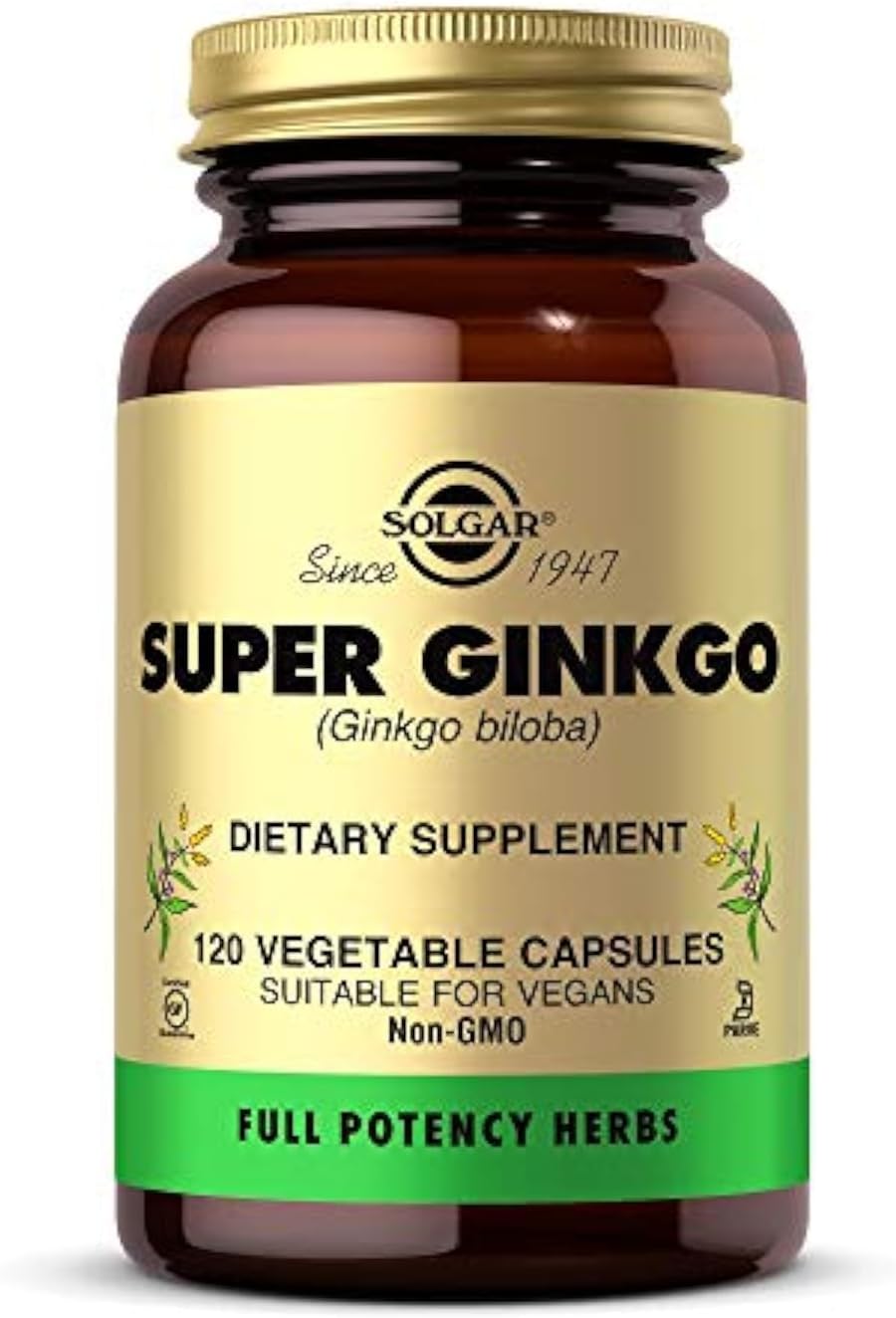 Solgar Super Ginkgo Capsules - Full Potency Antioxidant for Nervous System & Brain Health - Non-GMO, Vegan, Gluten Free, Dairy Free - 120 Servings