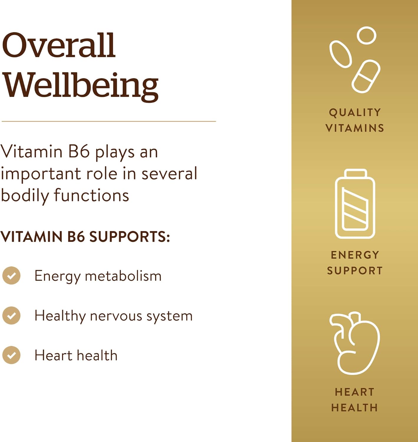 Solgar Vitamin B6 Capsules - 250 mg, 100 Count - Energy Metabolism & Heart Health Support - Non-GMO, Vegan, Gluten-Free