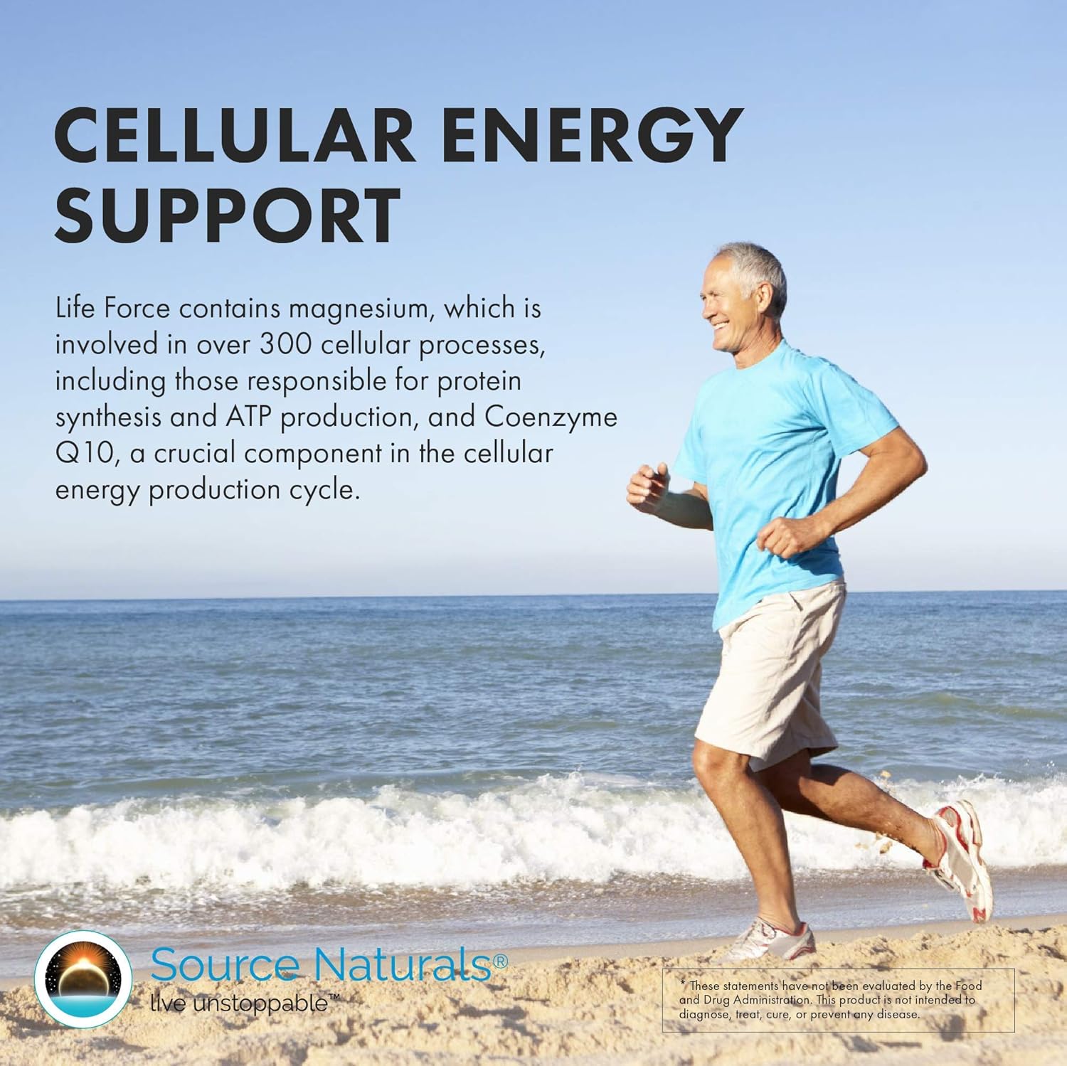 Source Naturals Life Force Multiple Iron-Free Daily Multivitamin - High Potency Essential Nutrients for Energy & Immune Support - 120 Capsules