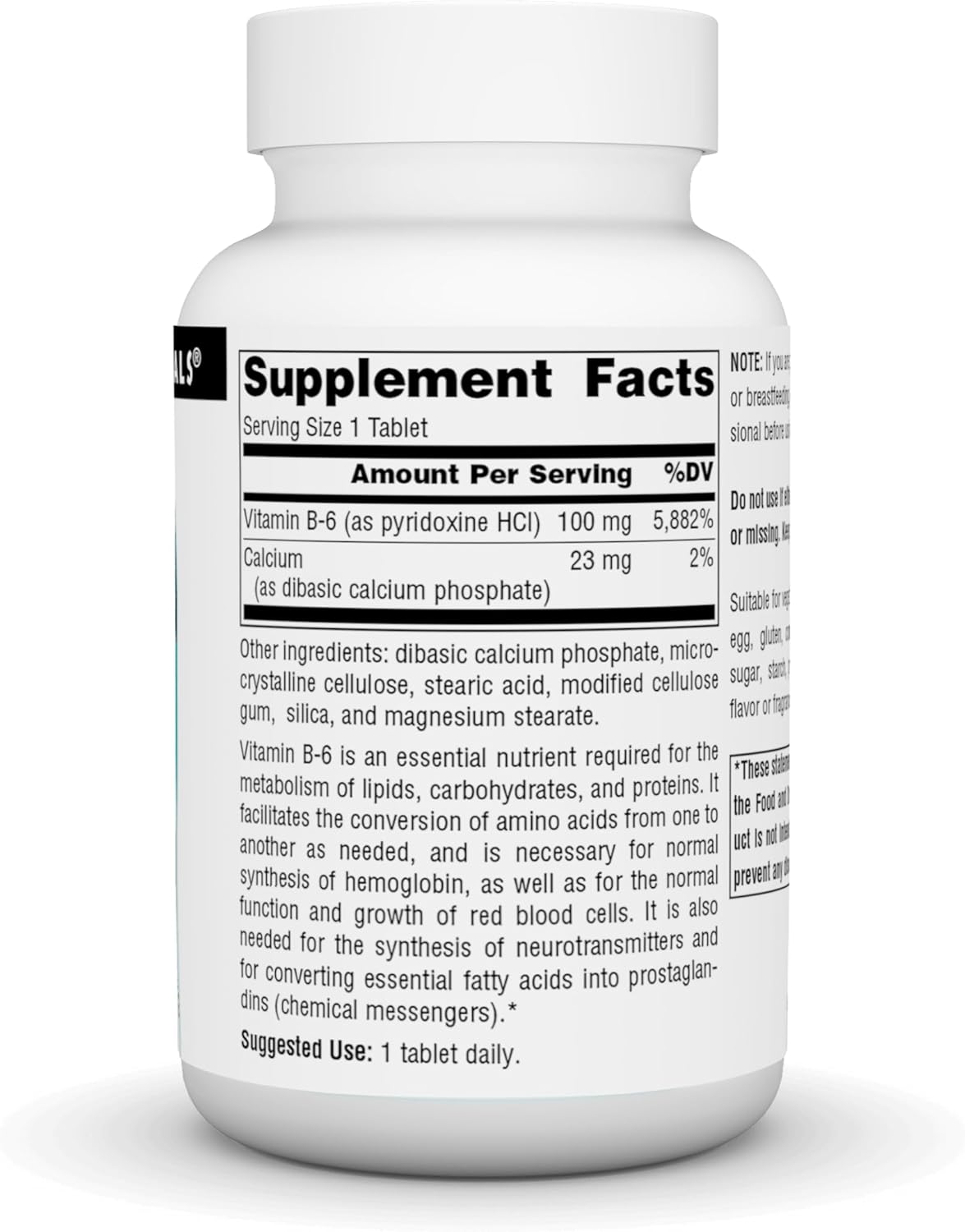 Source Naturals Vitamin B-6 100mg Tablets for Immune System Support - 250 Count