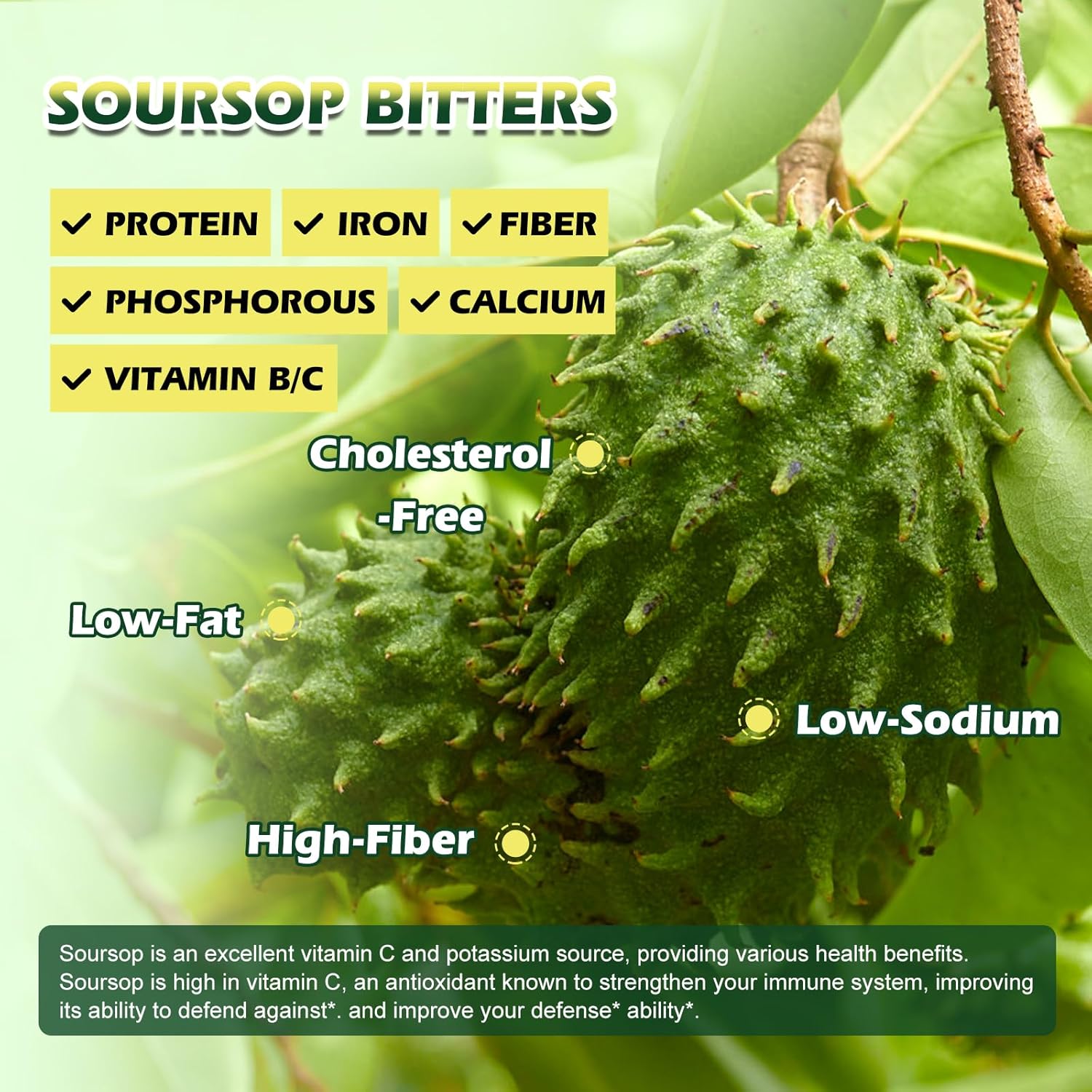 Soursop Bitters Liquid Drops with Sea Moss Black Seed Oil - Antioxidant Support for Gut Cleanse, Detox & Immunity