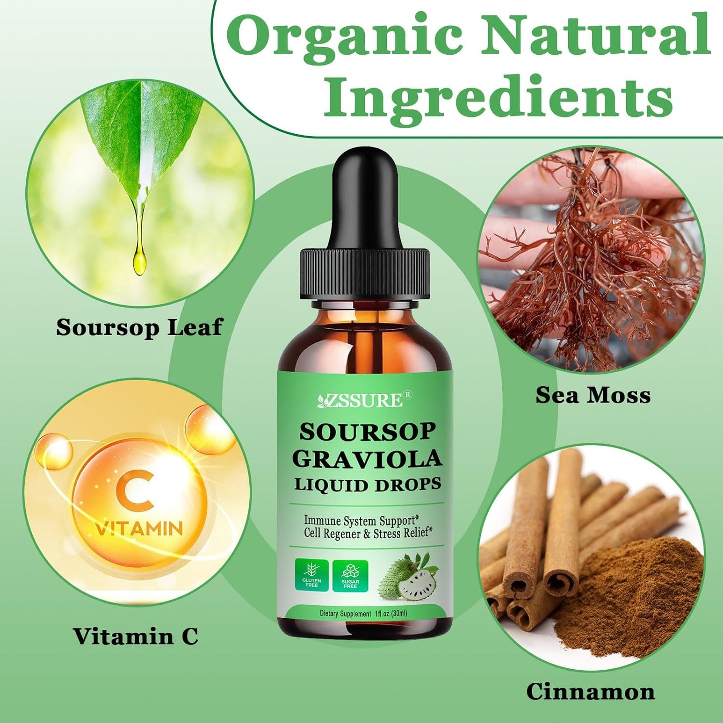 Soursop Graviola Leaf Liquid Drops with Sea Moss for Immunity & Antioxidant Support