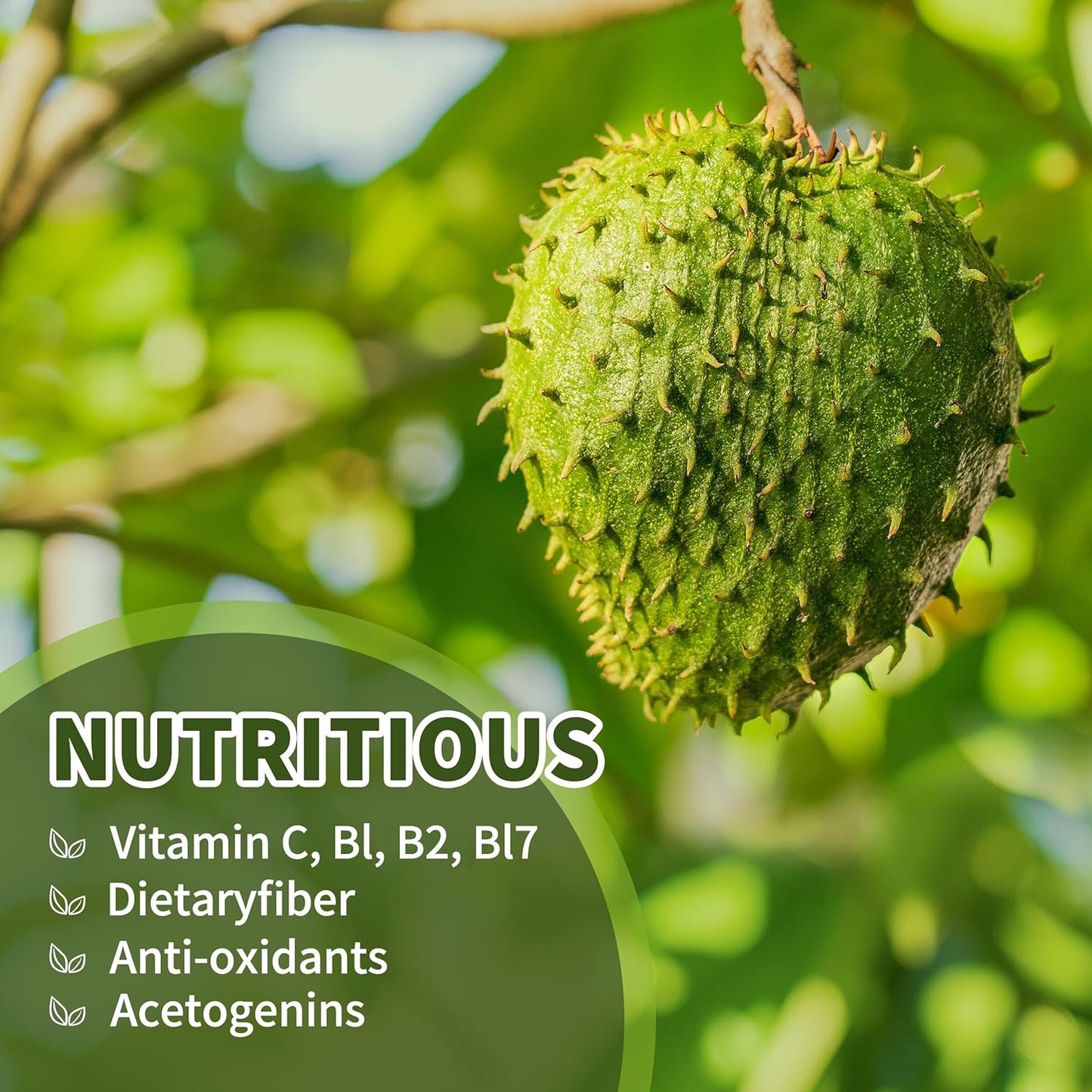 Soursop Graviola Liquid Drops 2000mg (2 Pack) for Cell Support & Immune Boost - Herbal Goodness, Liver Health - Natural Flavor, Liquid-Sugar/Gluten Free - 4 Fl Oz