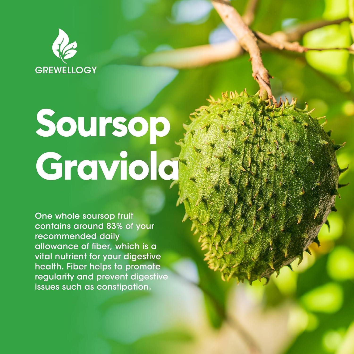 Soursop Graviola Liquid Drops Supplements for Cell Support, Sleep, Skin, Immune Boost - Original Flavor, 2 Fl Oz