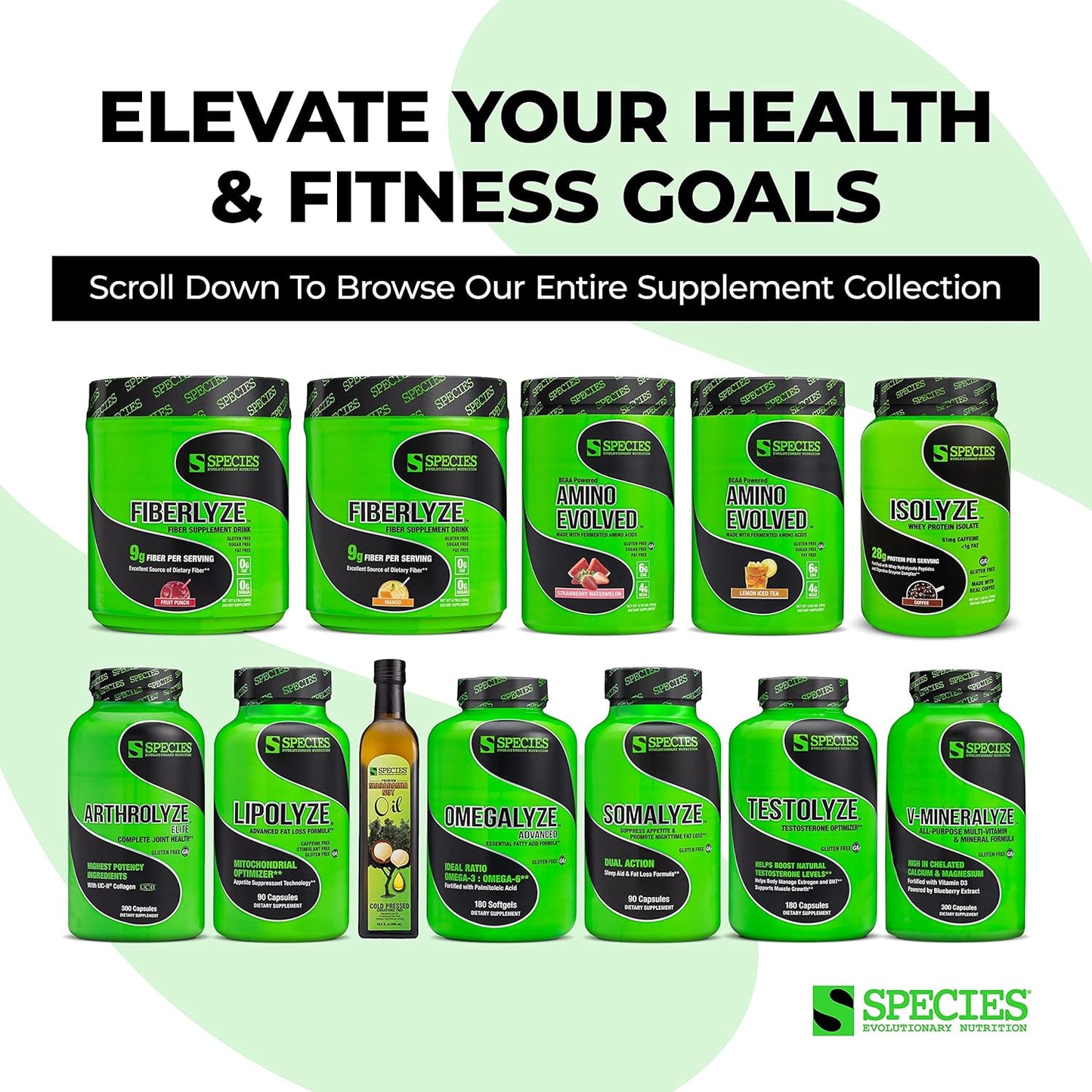 Species Nutrition Isolyze Whey Protein Powder - Cinnamon Donut Flavor, 27.5g Protein Per Serving, 100% Whey Isolate for Muscle Growth, Low Fat & Sugar-Free, 44 Servings