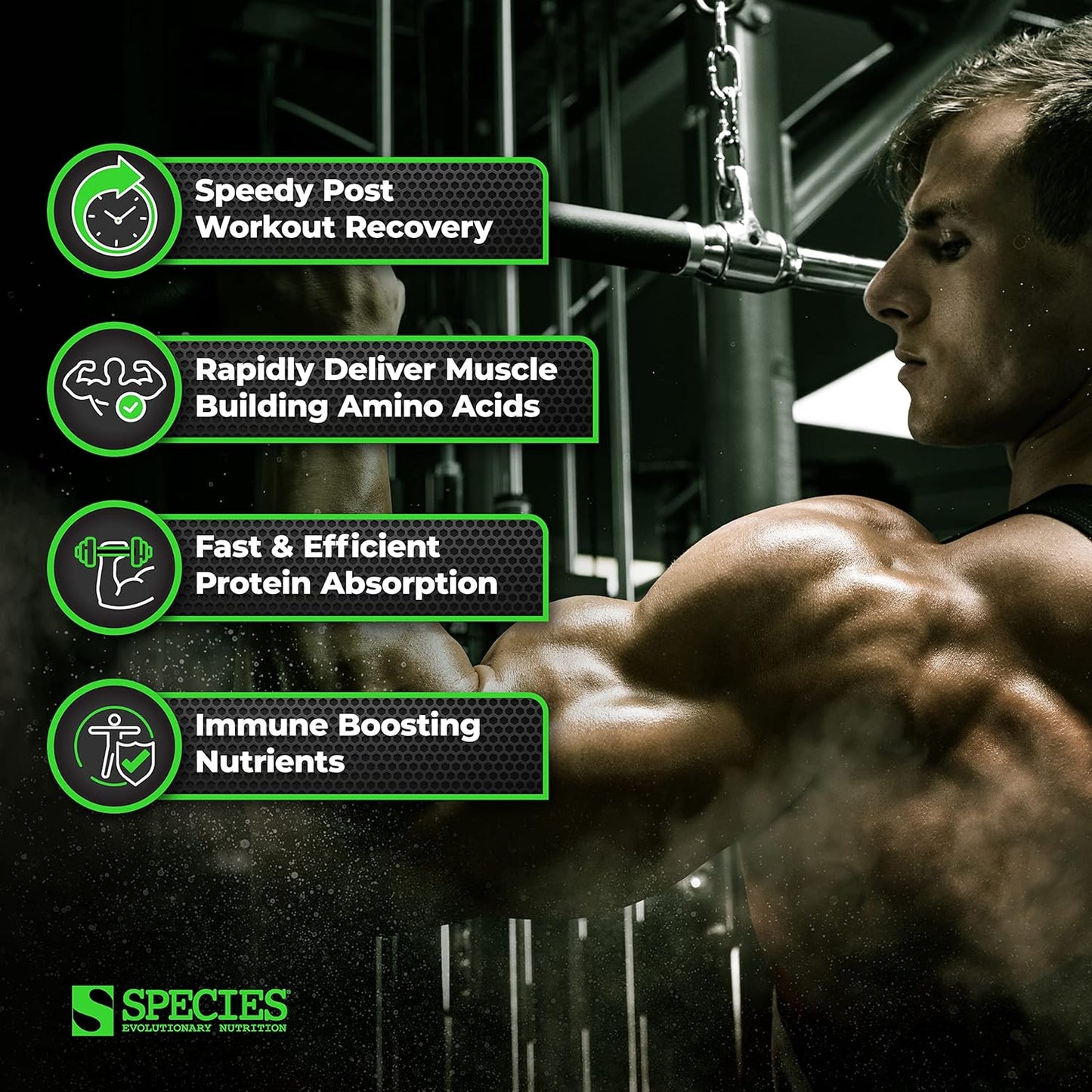 Species Nutrition Isolyze Whey Protein Powder - Cookies & Cream Flavor, 100% Whey Isolate Protein with 27.5g Protein Per Scoop, Ideal for Muscle Building and Low Sugar Diet, 44 Servings