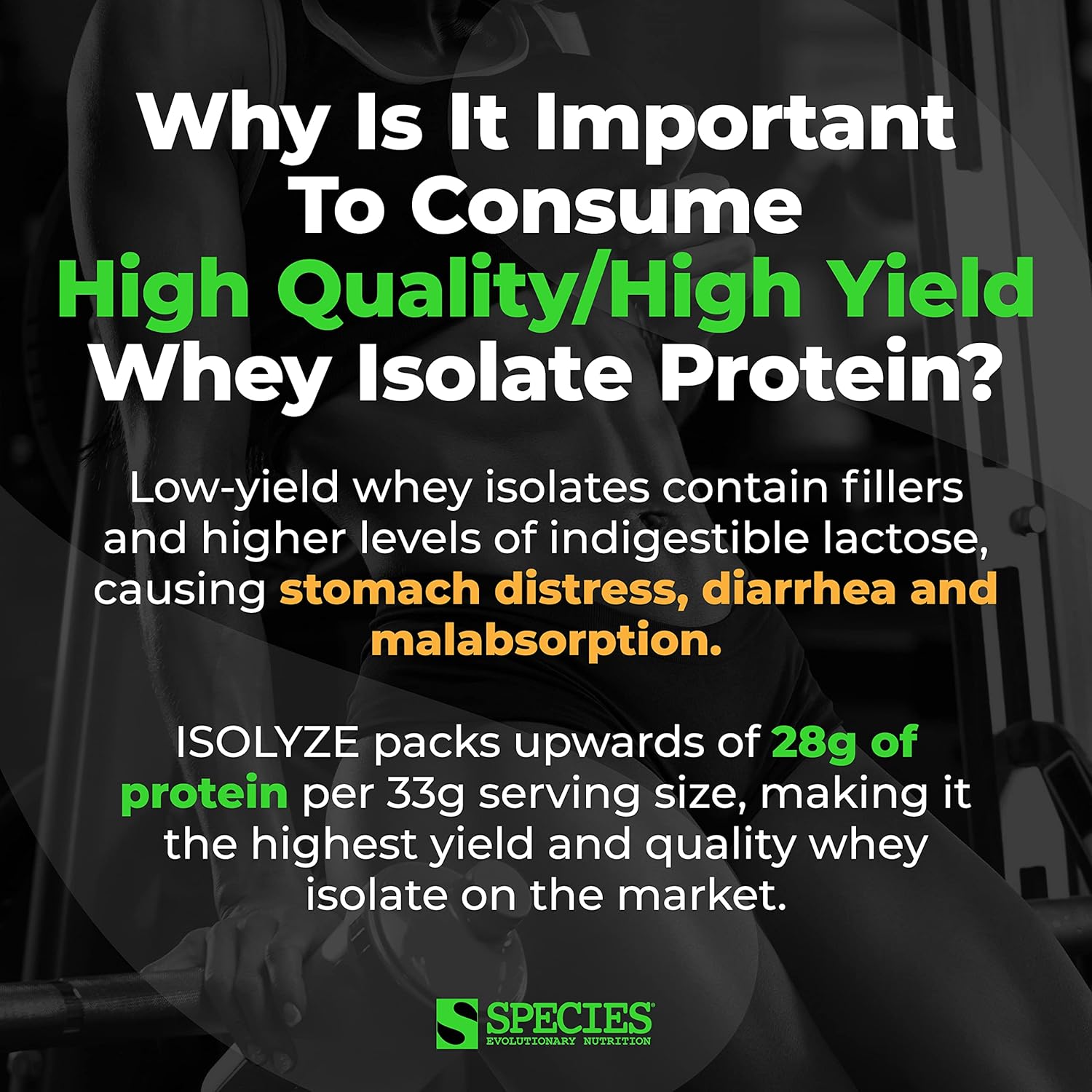 Species Nutrition Isolyze Whey Protein Powder - Cookies & Cream Flavor, 100% Whey Isolate Protein with 27.5g Protein Per Scoop, Ideal for Muscle Building and Low Sugar Diet, 44 Servings