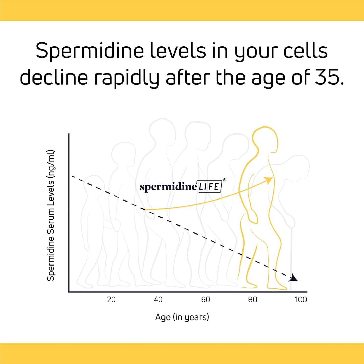 spermidineLIFE 800mg Natural Supplement with High Spermidine Content and Zinc, Plant-Based for Cell Renewal, Vegan, 60 Vegetarian Capsules - Pack of 2