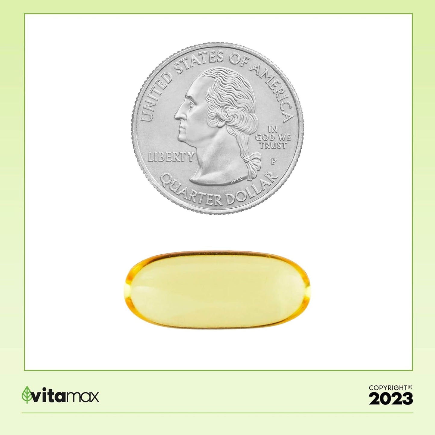 Spring Valley Omega-3 Fish Oil 2000mg, 120 Count with VitaMax Vitamin Guide